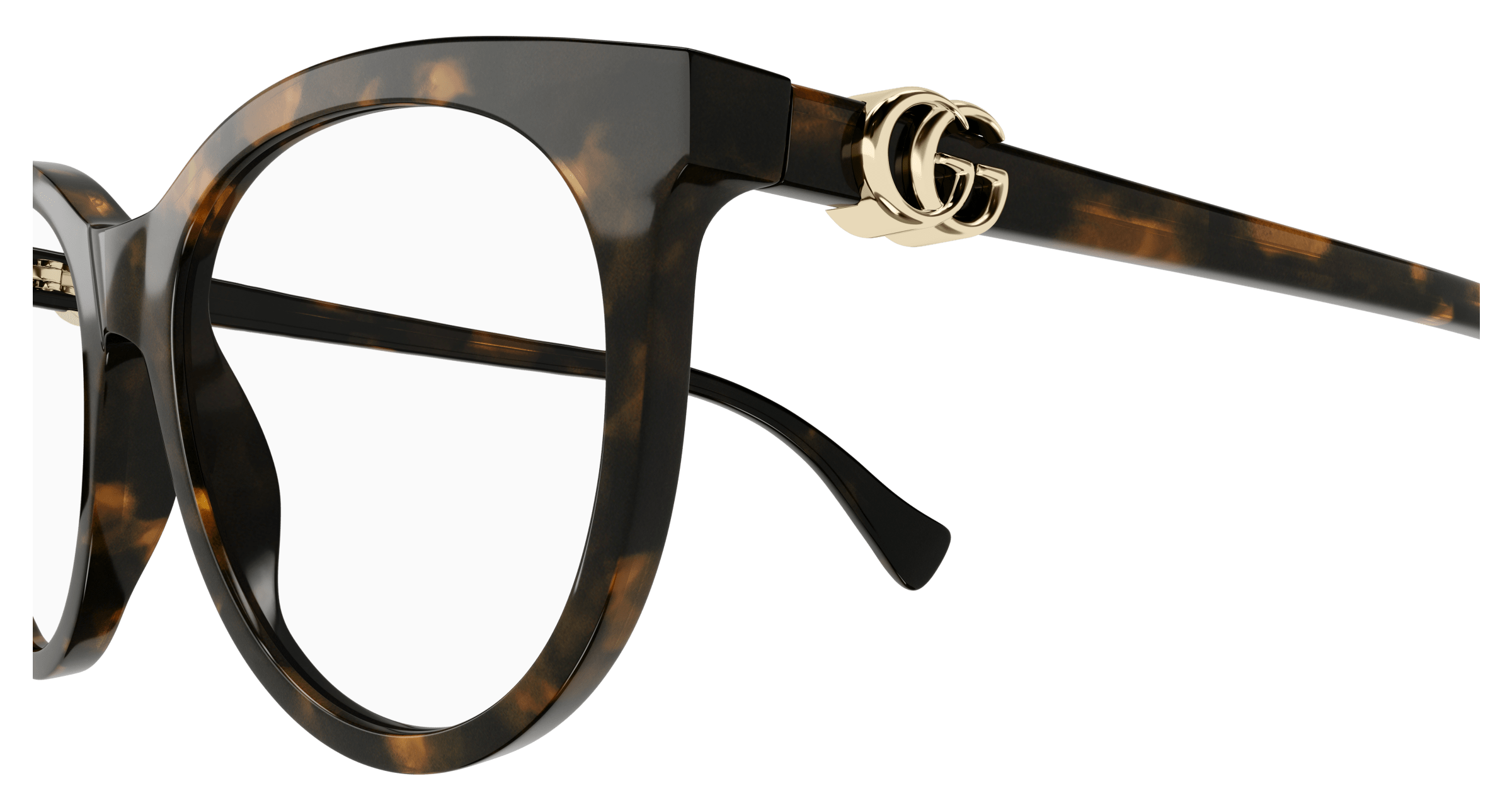 Havana Eyeglasses Gucci 889652375496