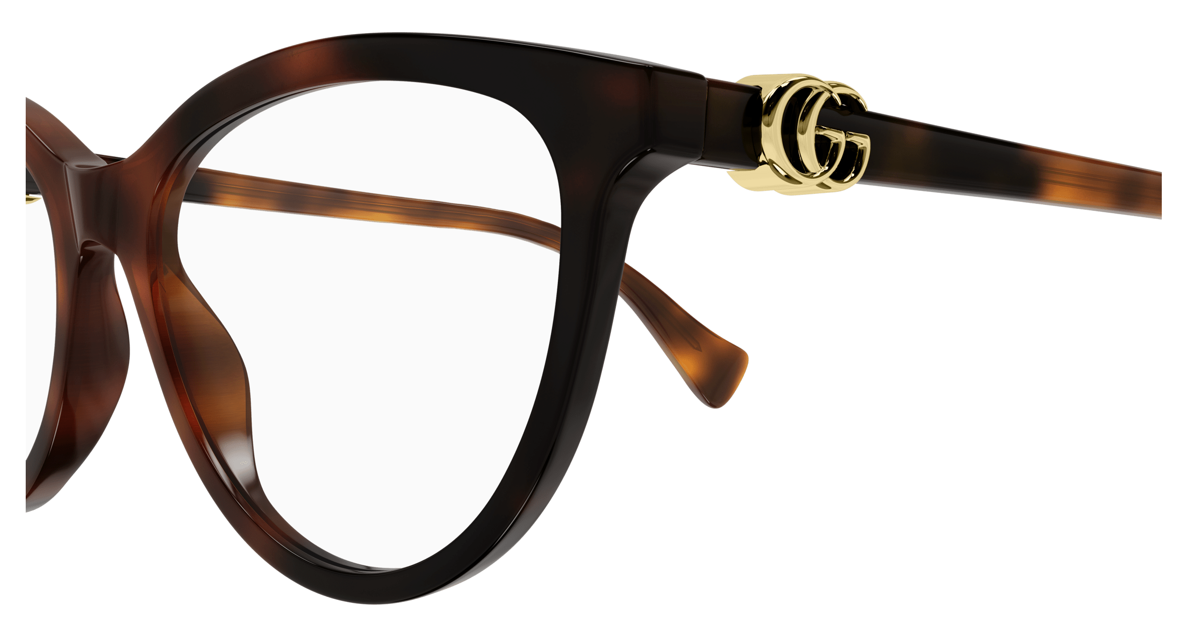 Havana Eyeglasses Gucci 889652392752