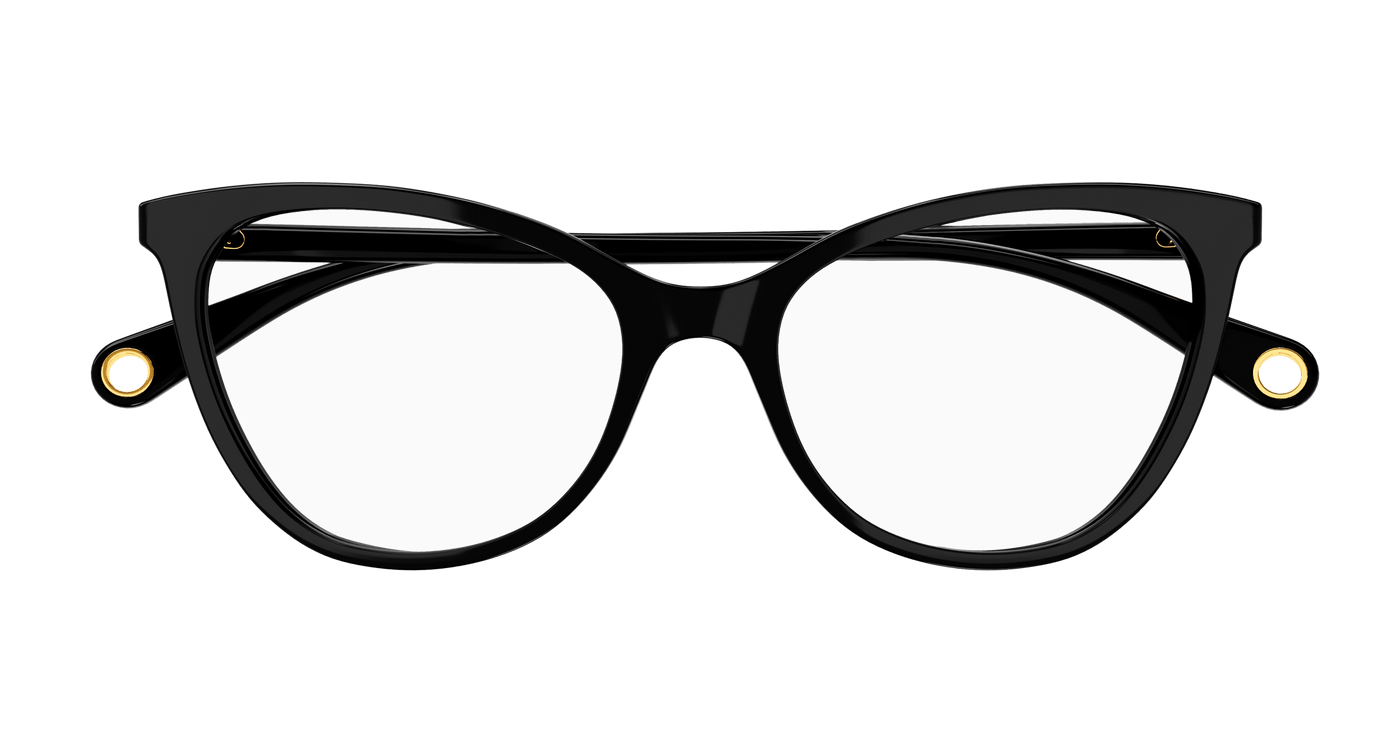 Gucci GG1079O Black 889652379081