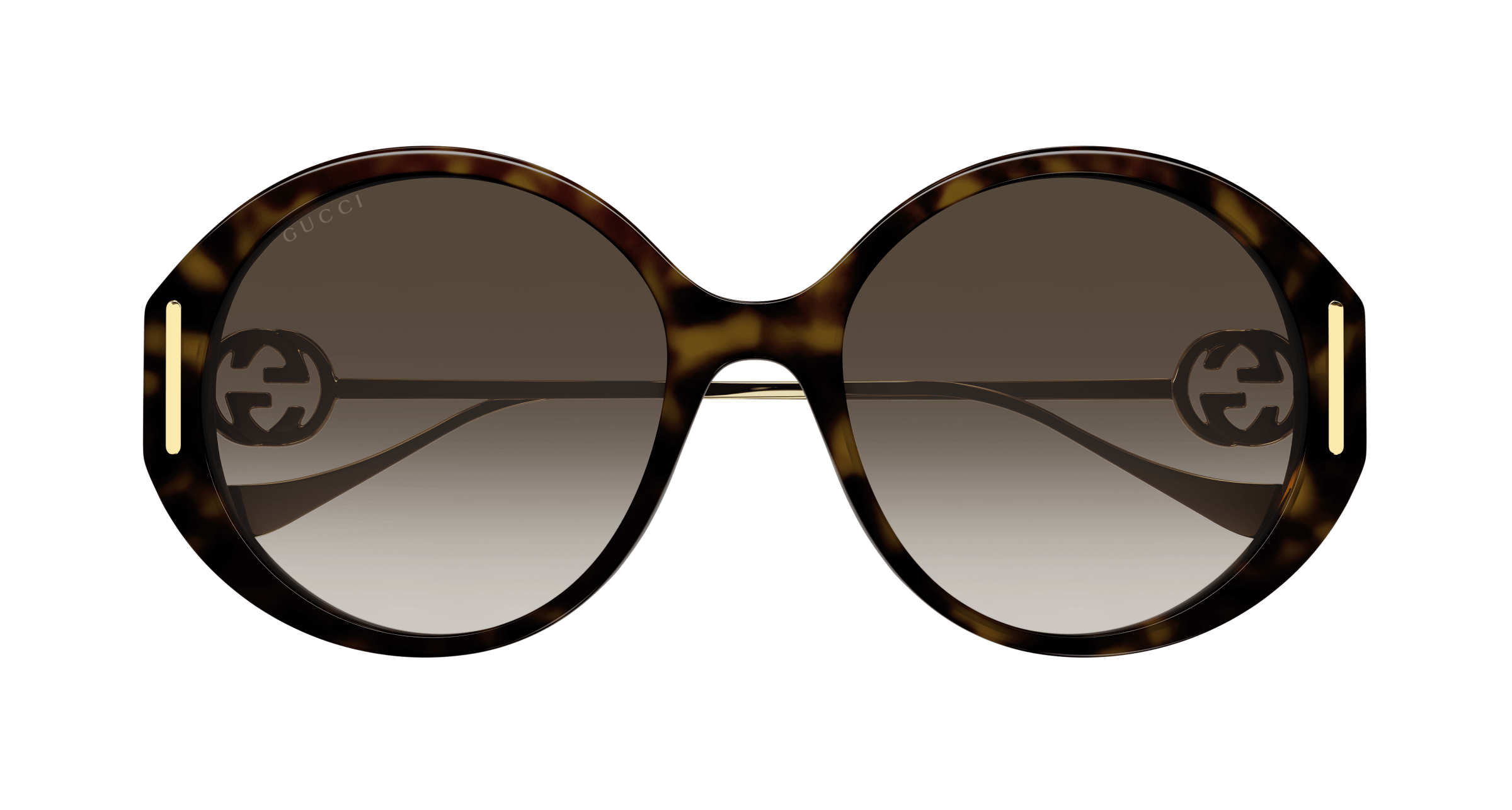 Havana Sunglasses Gucci 889652392455