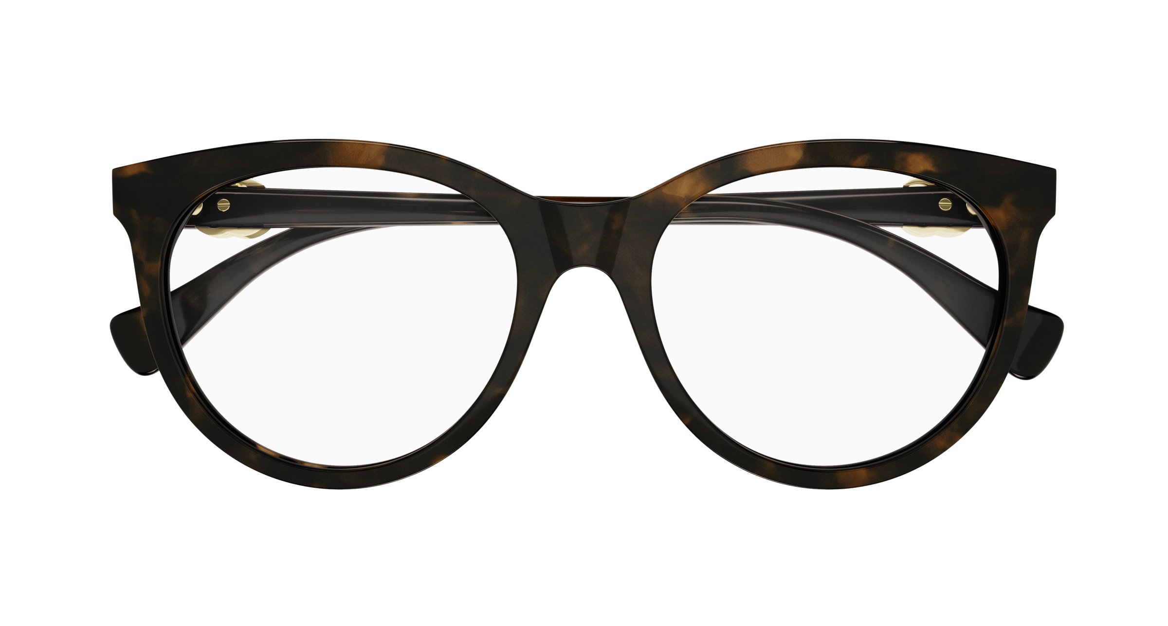 Havana Eyeglasses Gucci 889652375496