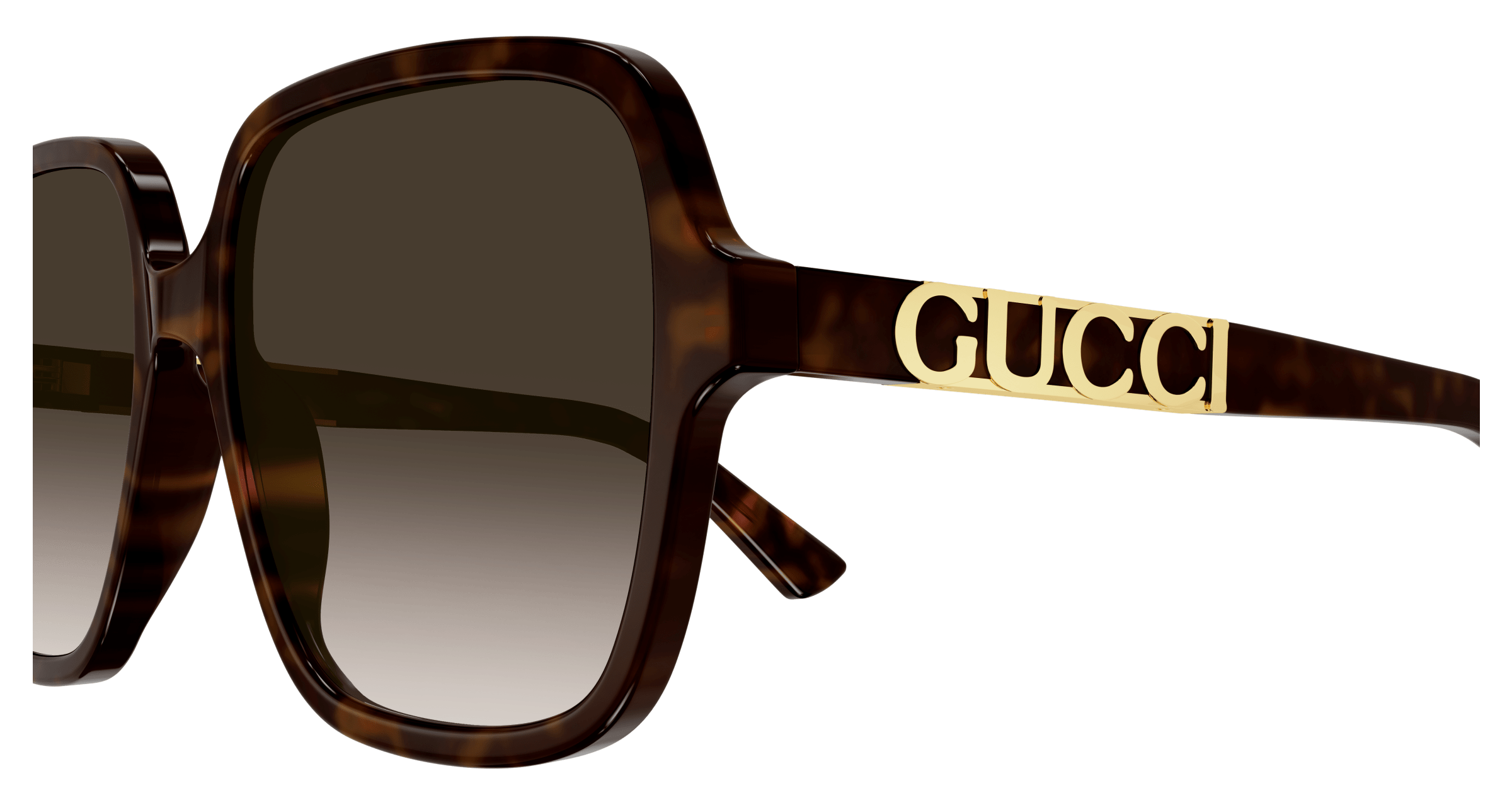 Havana Sunglasses Gucci 889652393735