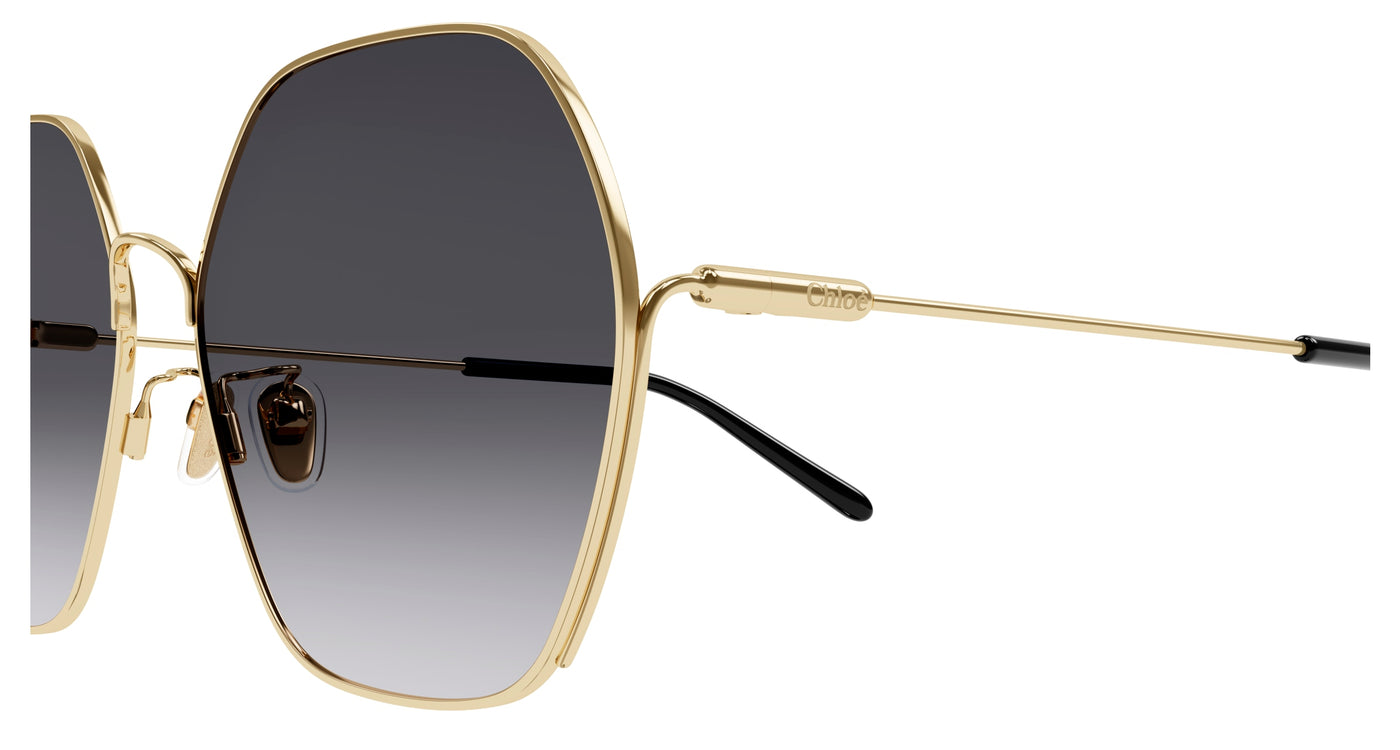 Chloe CH0169SA Sunglasses 889652452470