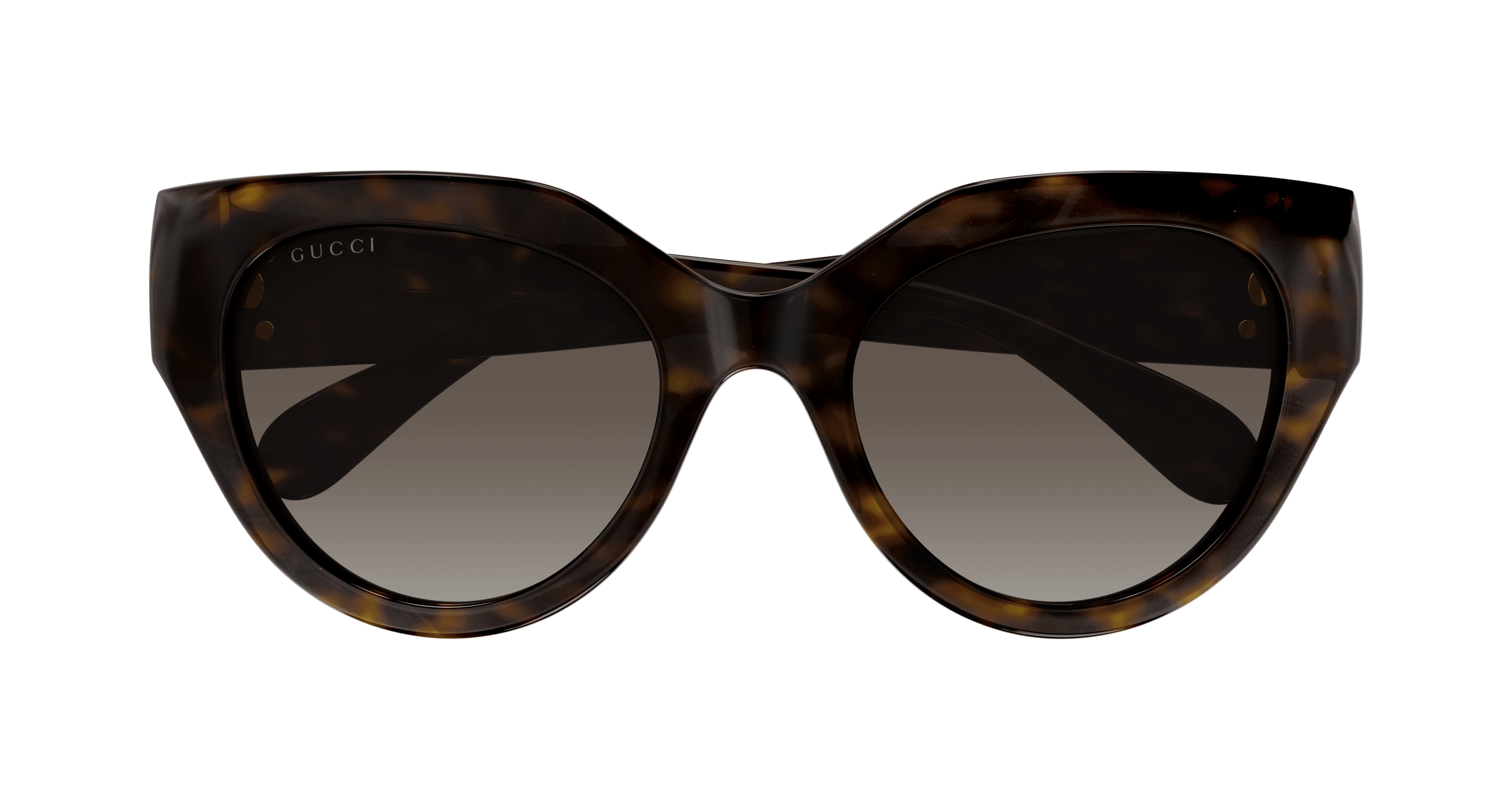 Havana Sunglasses Gucci 889652437903