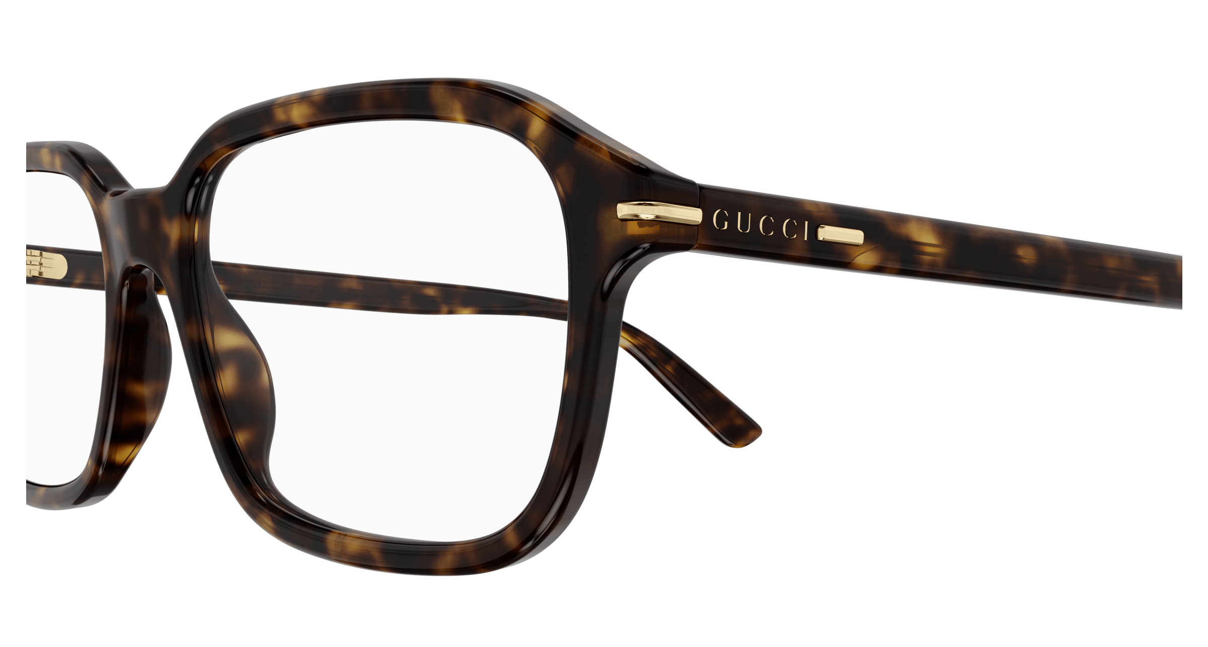 Havana Eyeglasses Gucci 889652438580