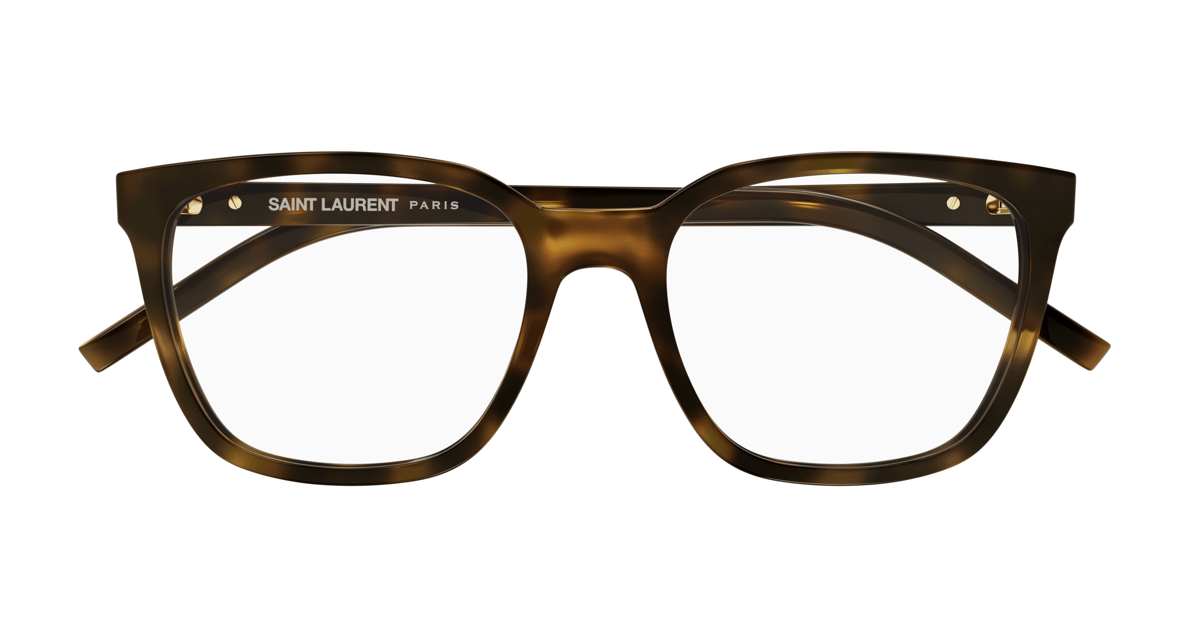 Havana Eyeglasses Saint Laurent 889652454146