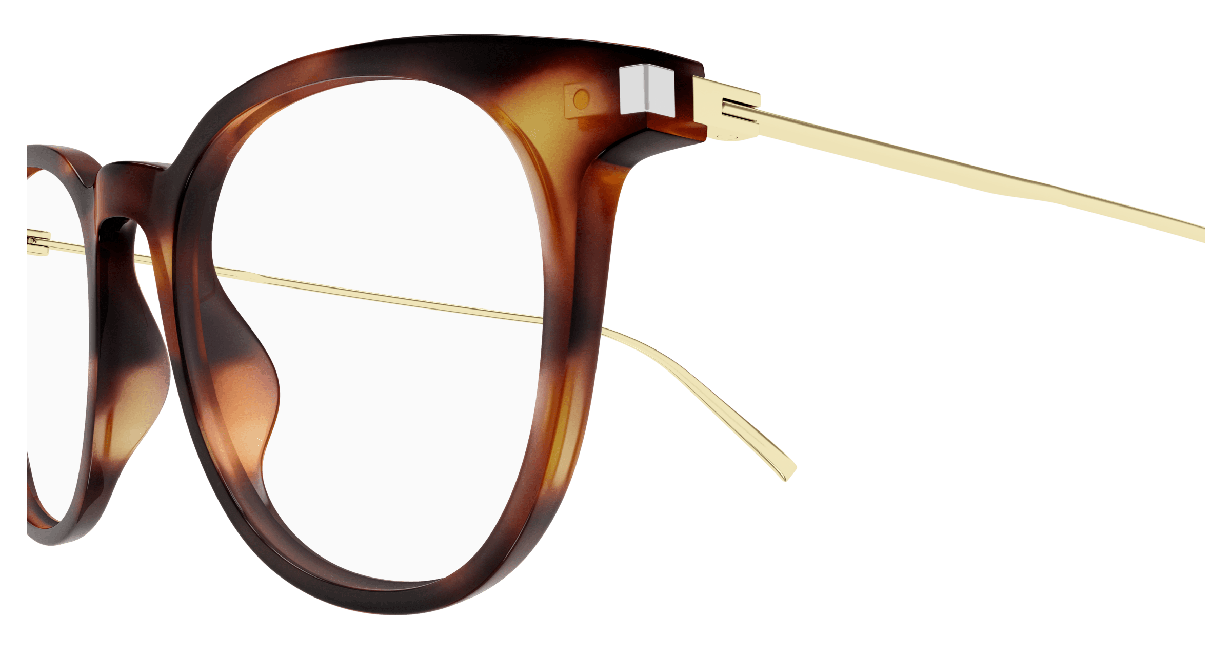 Havana Eyeglasses Saint Laurent 889652420639