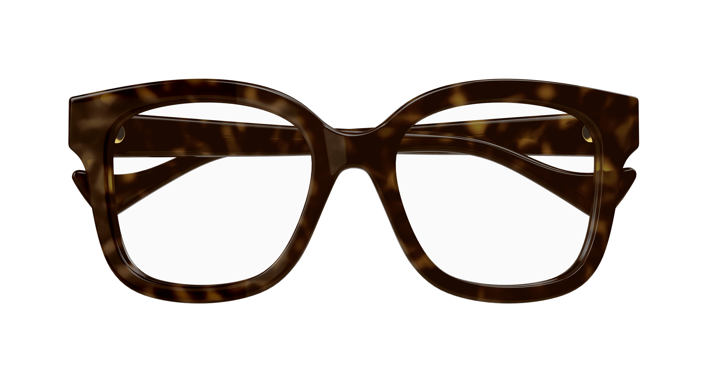 Havana Eyeglasses Gucci 889652412184