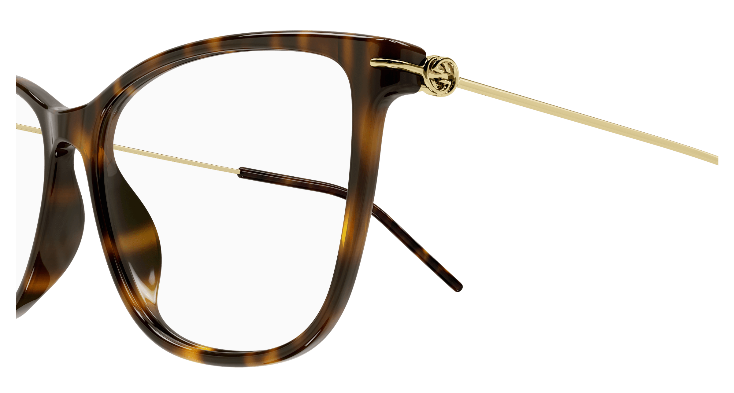 Havana Eyeglasses Gucci 889652415857