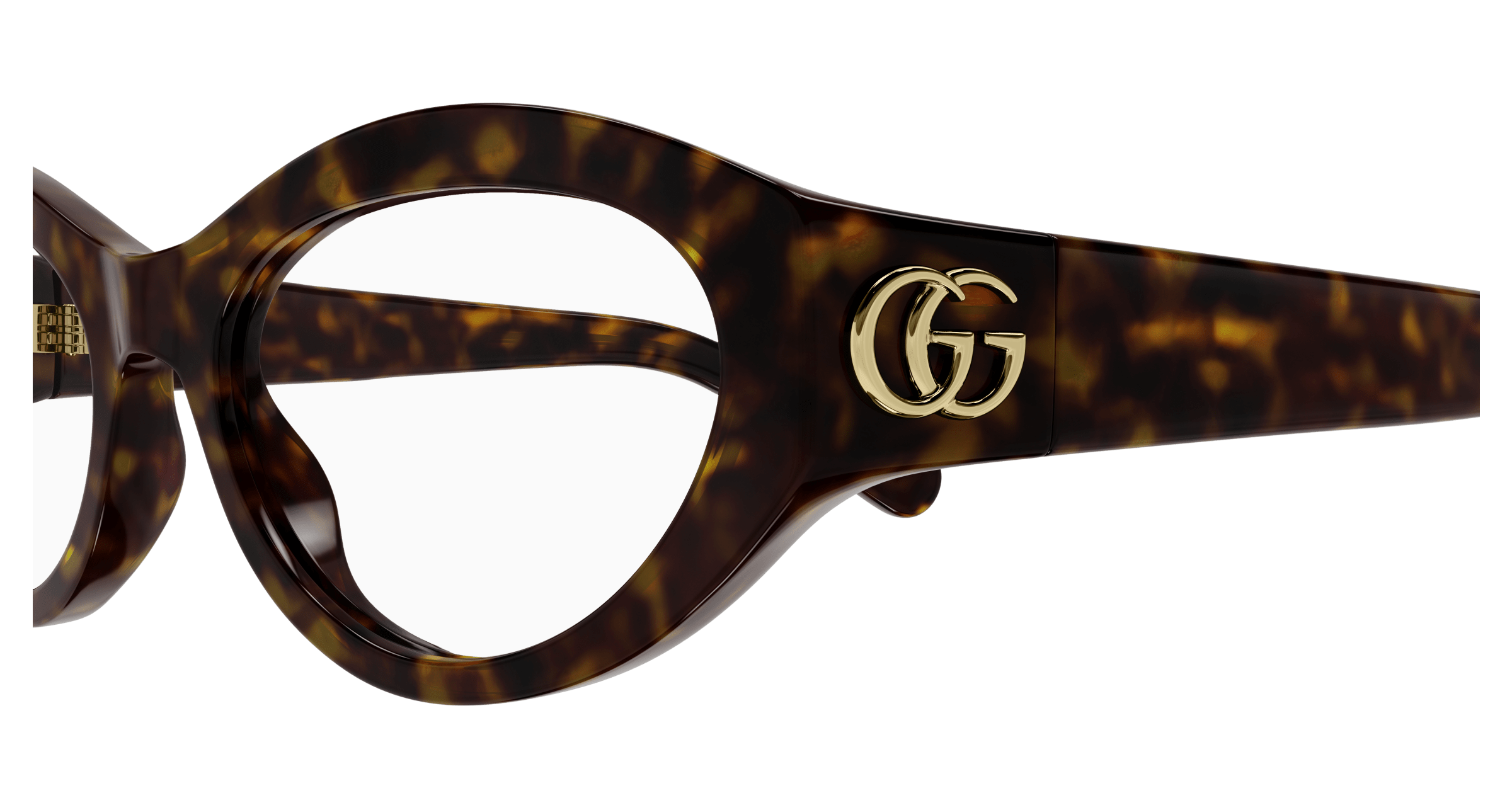 Havana Eyeglasses Gucci 889652440101