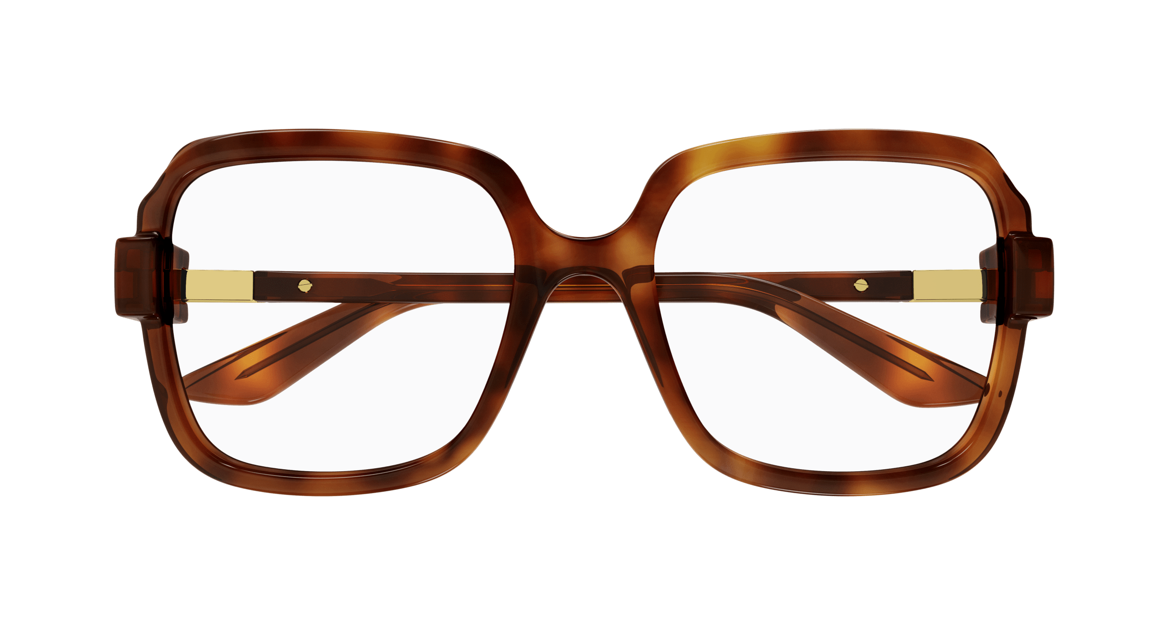 Havana Eyeglasses Gucci 889652438405