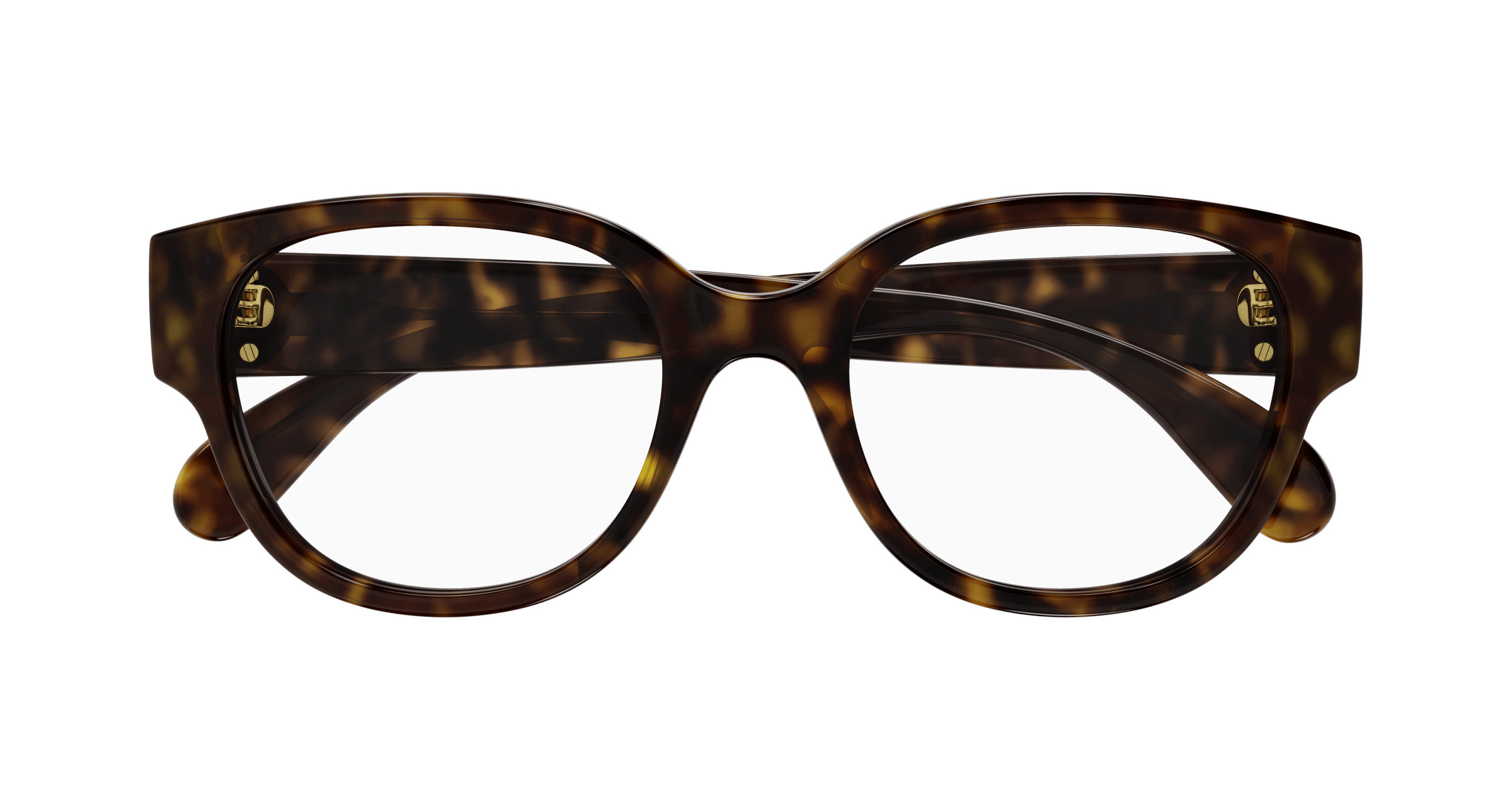 Havana Eyeglasses Gucci 889652437996