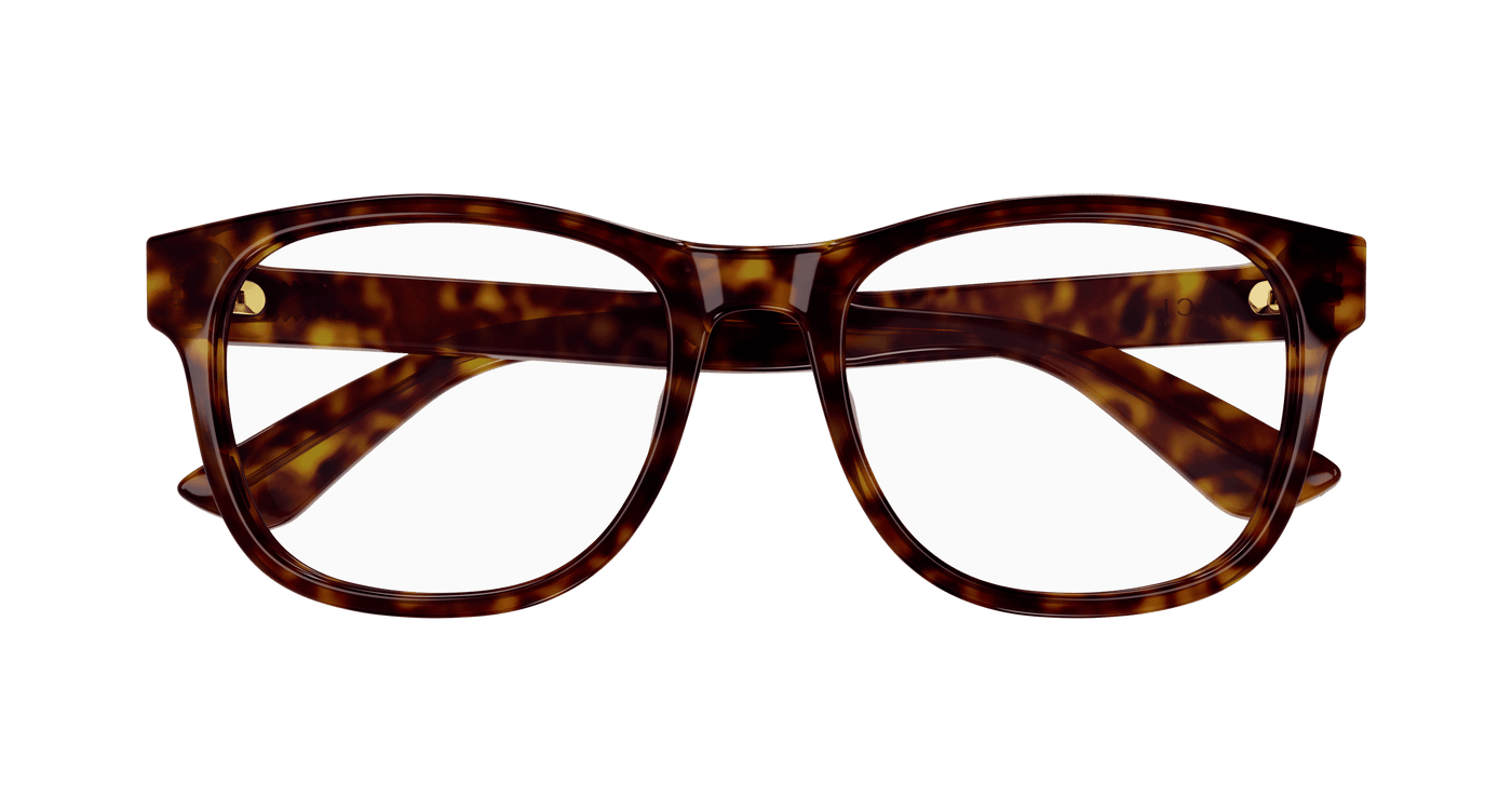 Gucci GG1344O Havana 889652412986