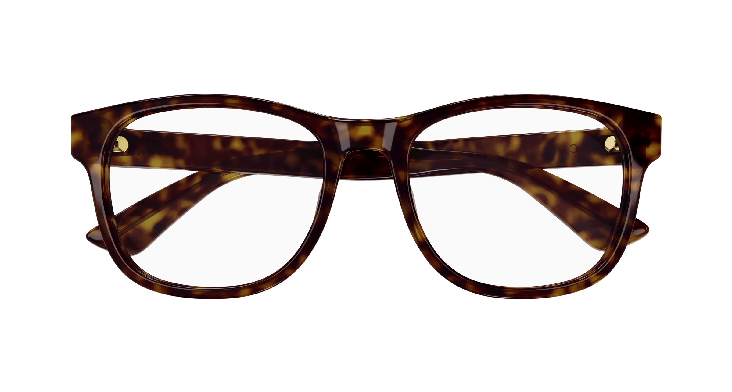Gucci GG1344O Havana 889652412986
