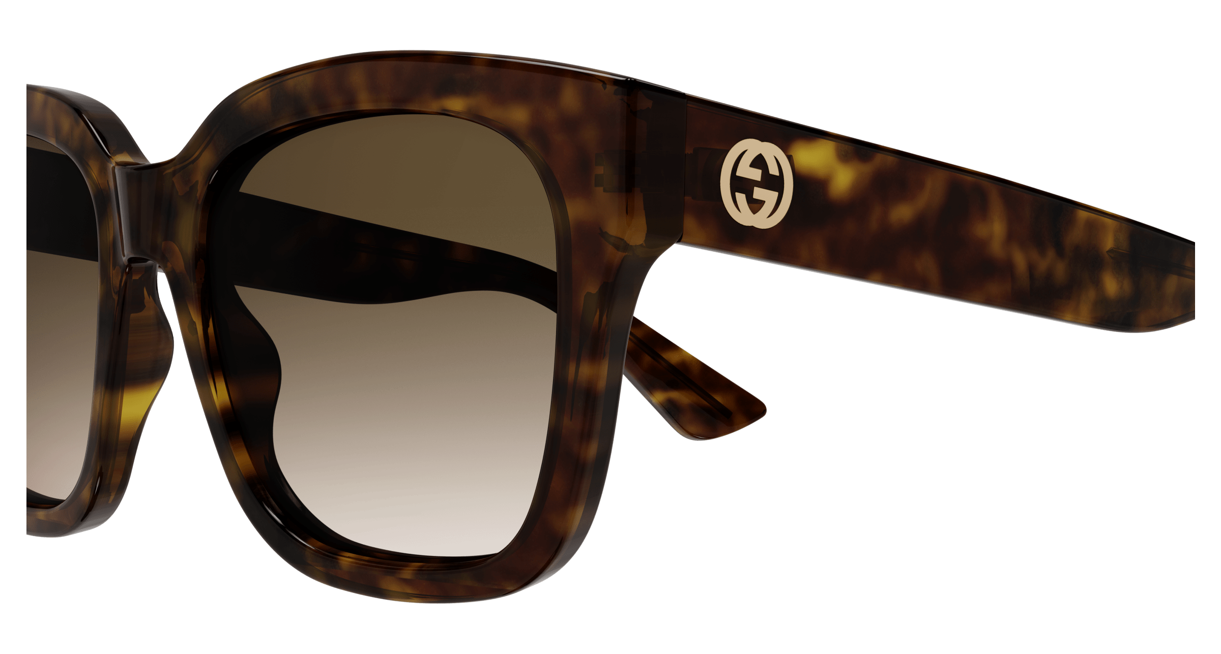 Havana Sunglasses Gucci 889652412900