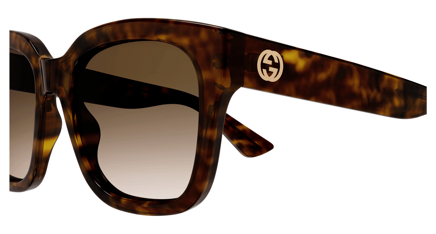 Havana Sunglasses Gucci 889652412900