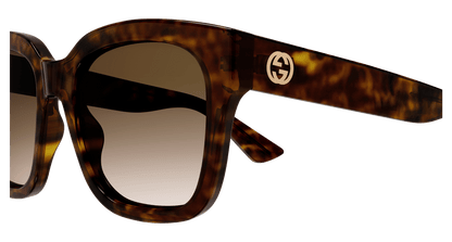 Havana Sunglasses Gucci 889652412900