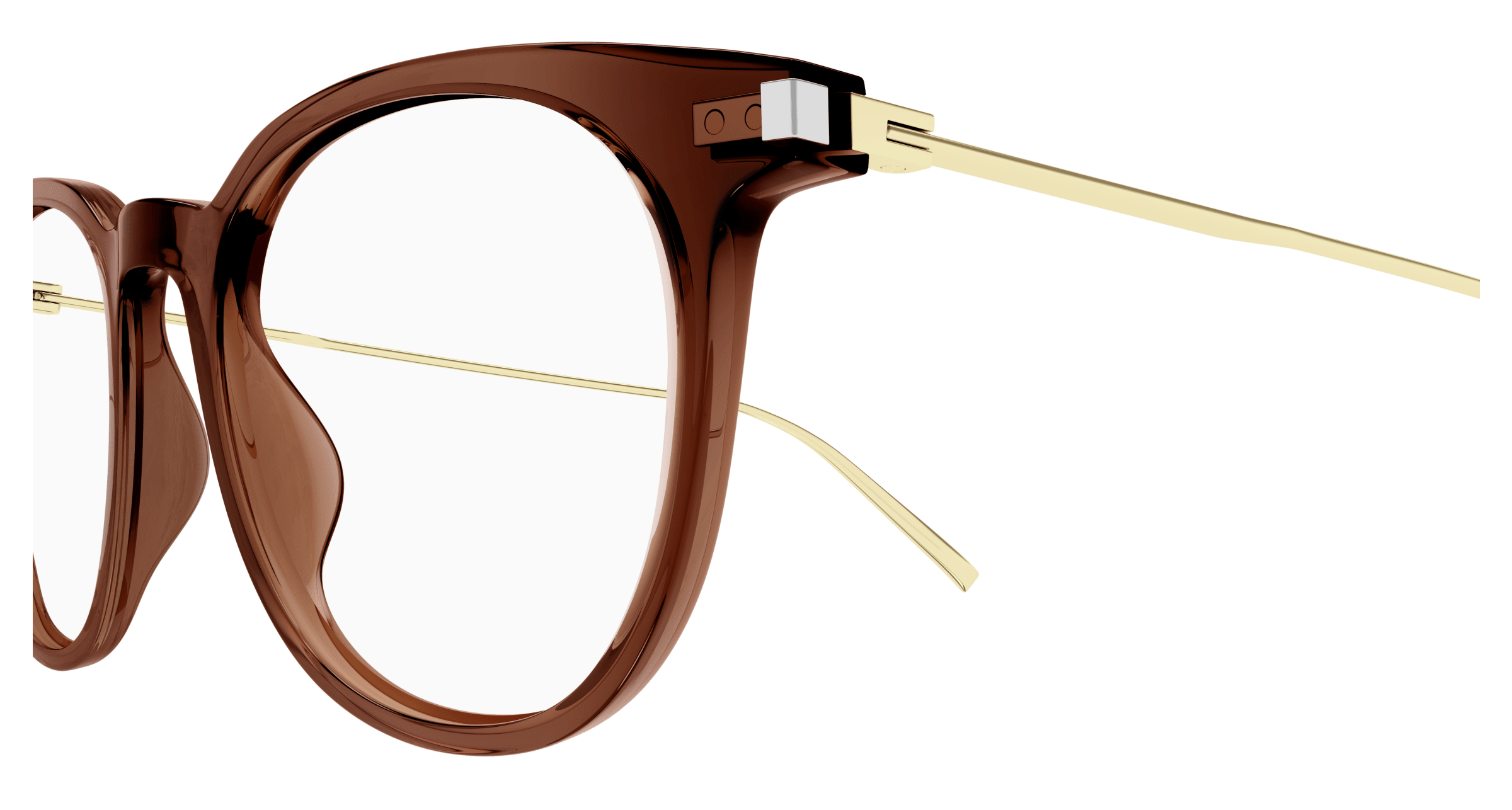 Brown Eyeglasses Saint Laurent 889652420646