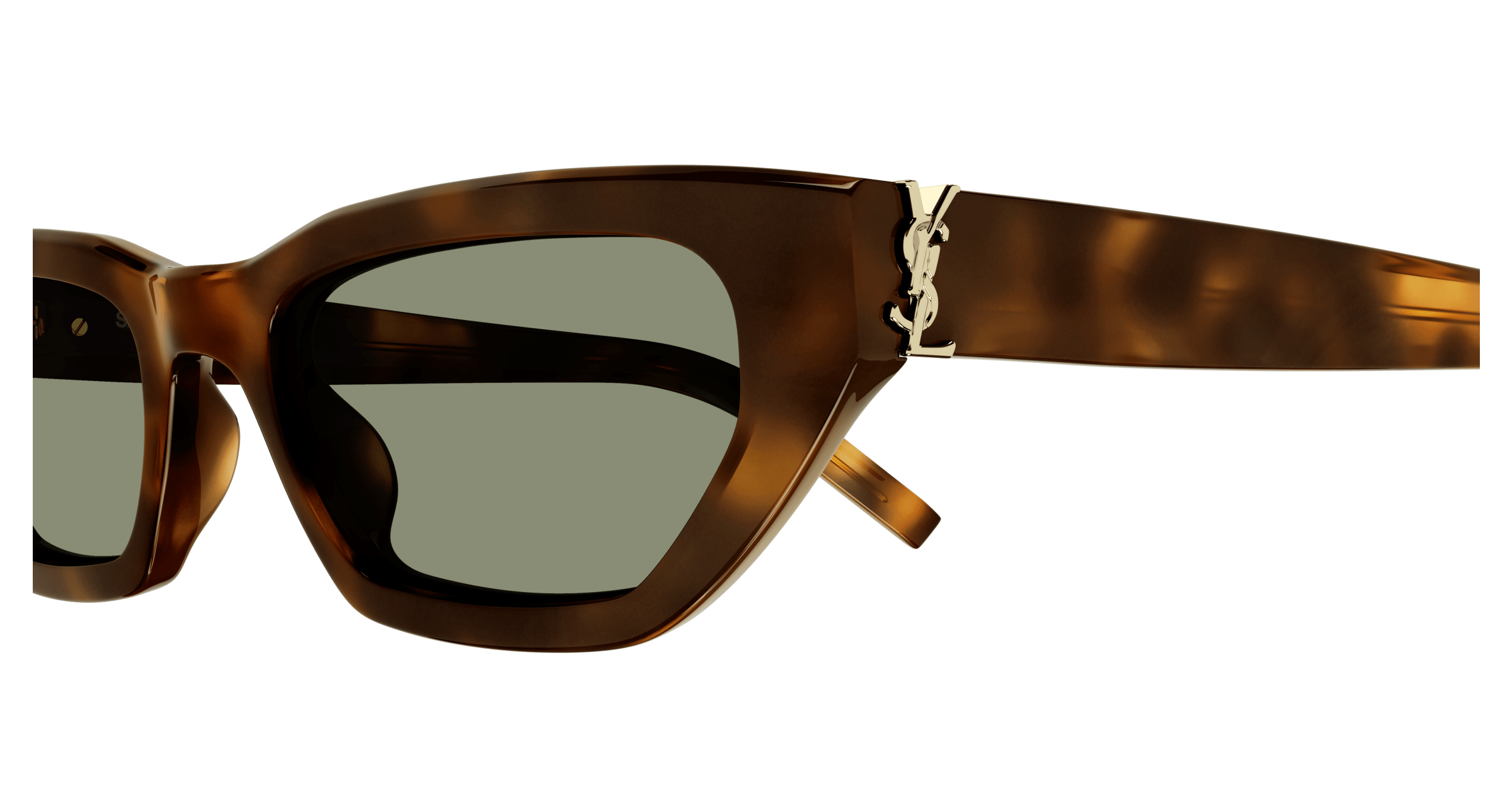 Havana Sunglasses Saint Laurent 889652453989