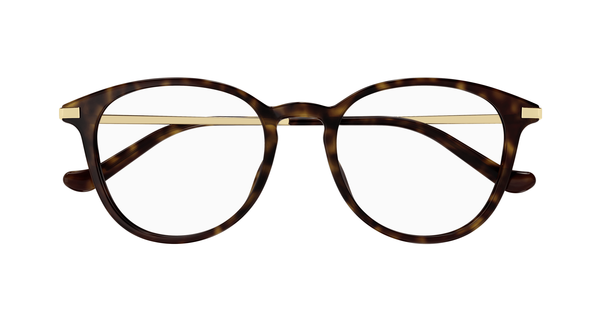 Havana Eyeglasses Gucci 889652440569