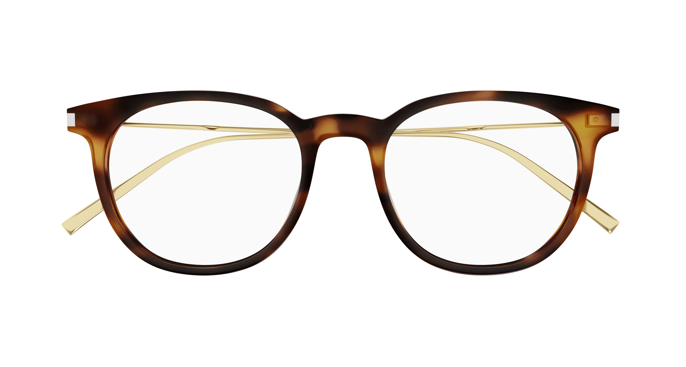 Havana Eyeglasses Saint Laurent 889652420639