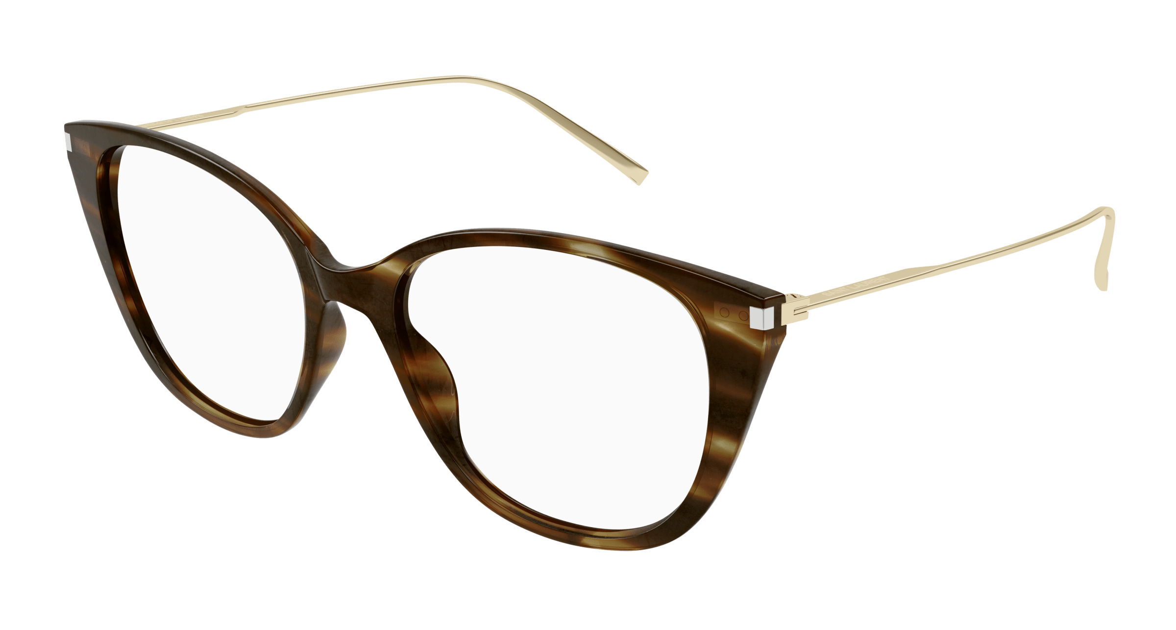 Havana Eyeglasses Saint Laurent 889652446172