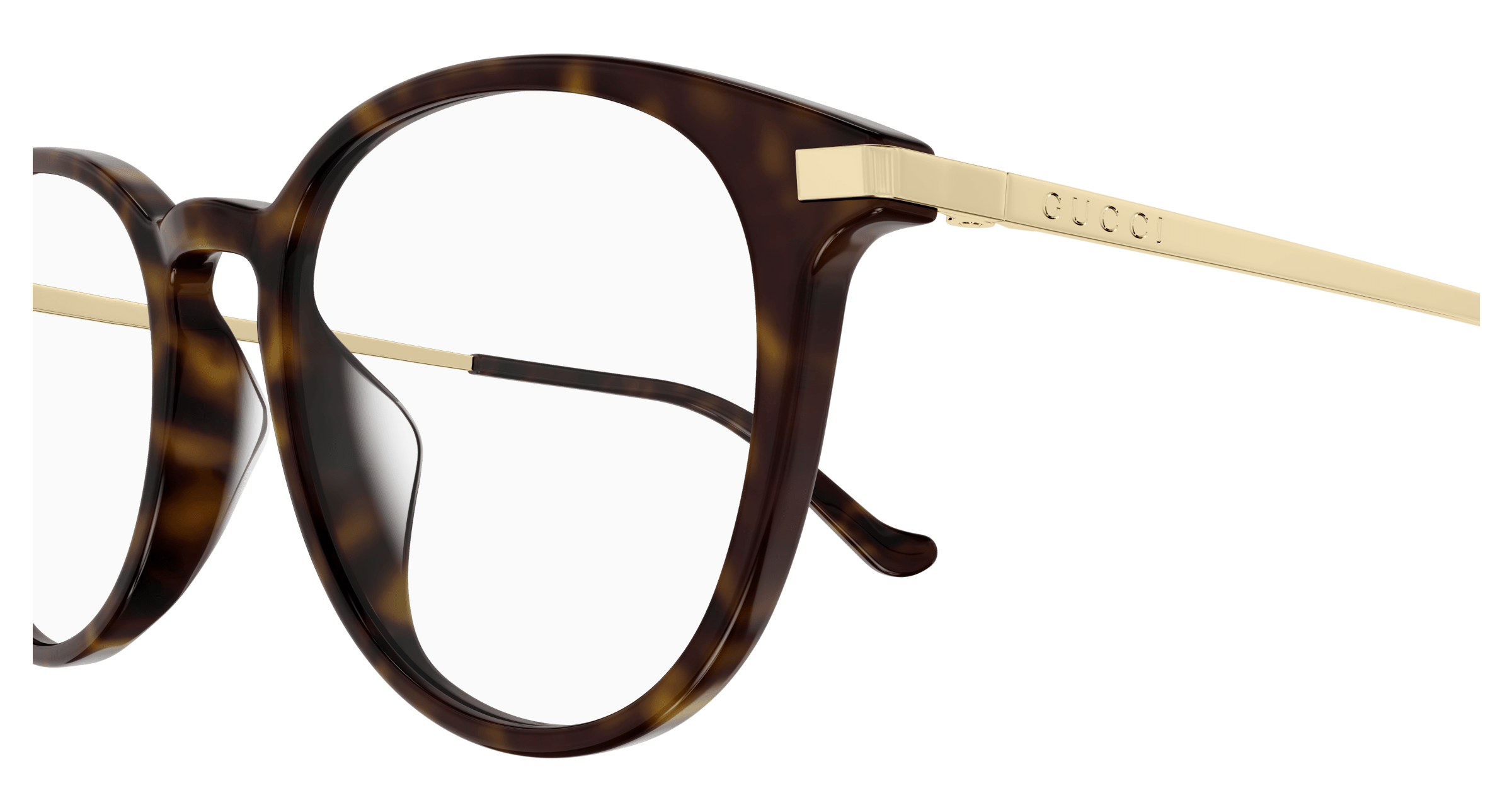 Havana Eyeglasses Gucci 889652440569