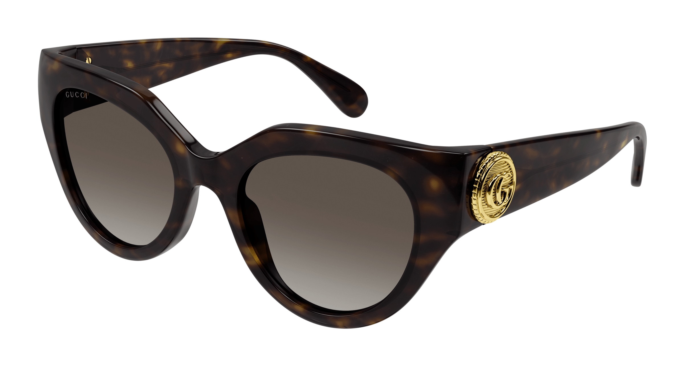 Havana Sunglasses Gucci 889652437903