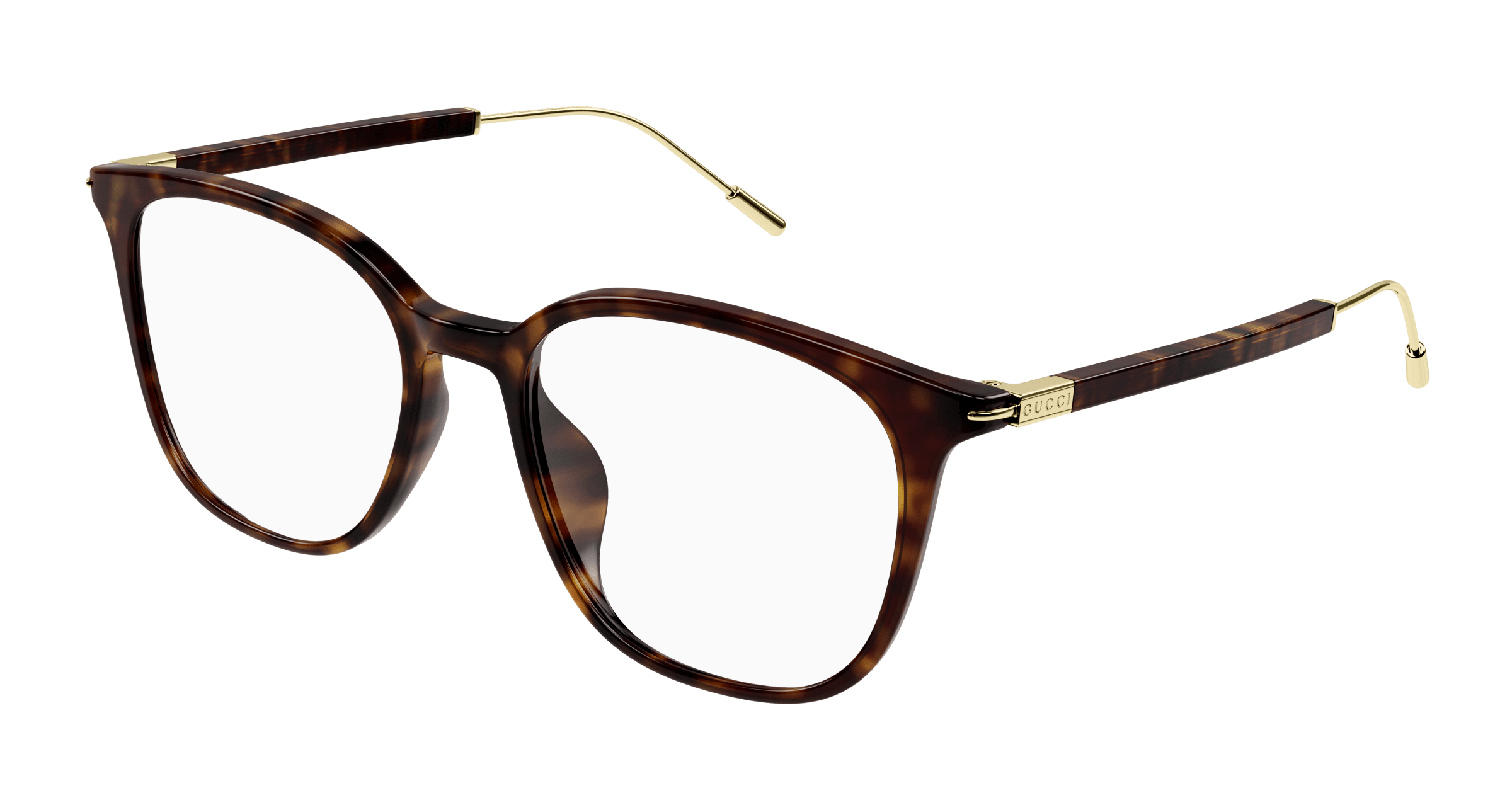 Havana Eyeglasses Gucci 889652415772