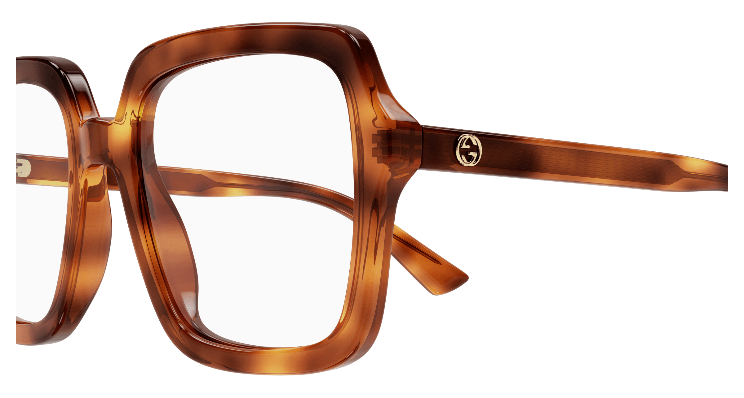 Havana Eyeglasses Gucci 889652411866