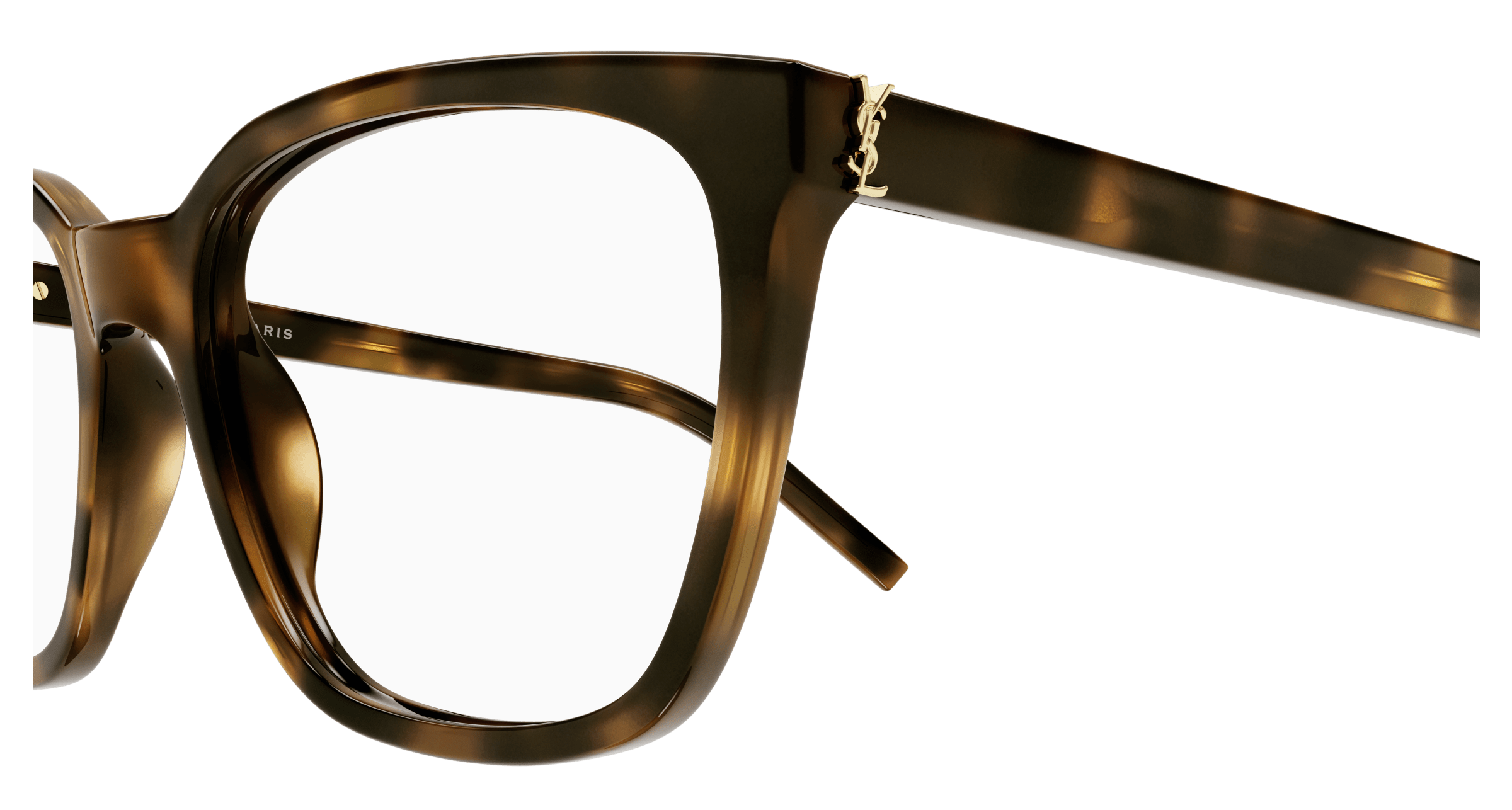 Havana Eyeglasses Saint Laurent 889652454146