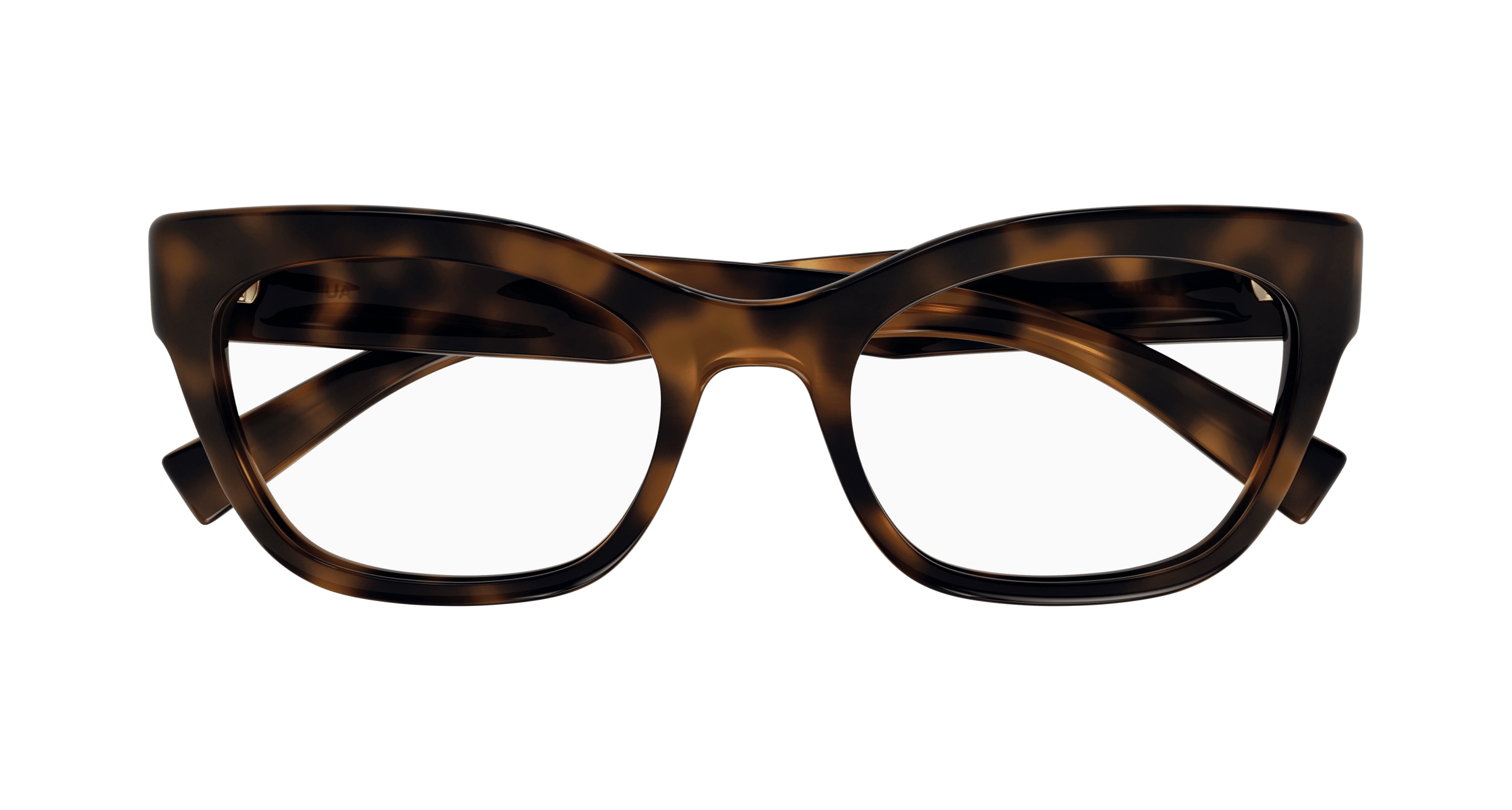 Havana Eyeglasses Saint Laurent 889652453712