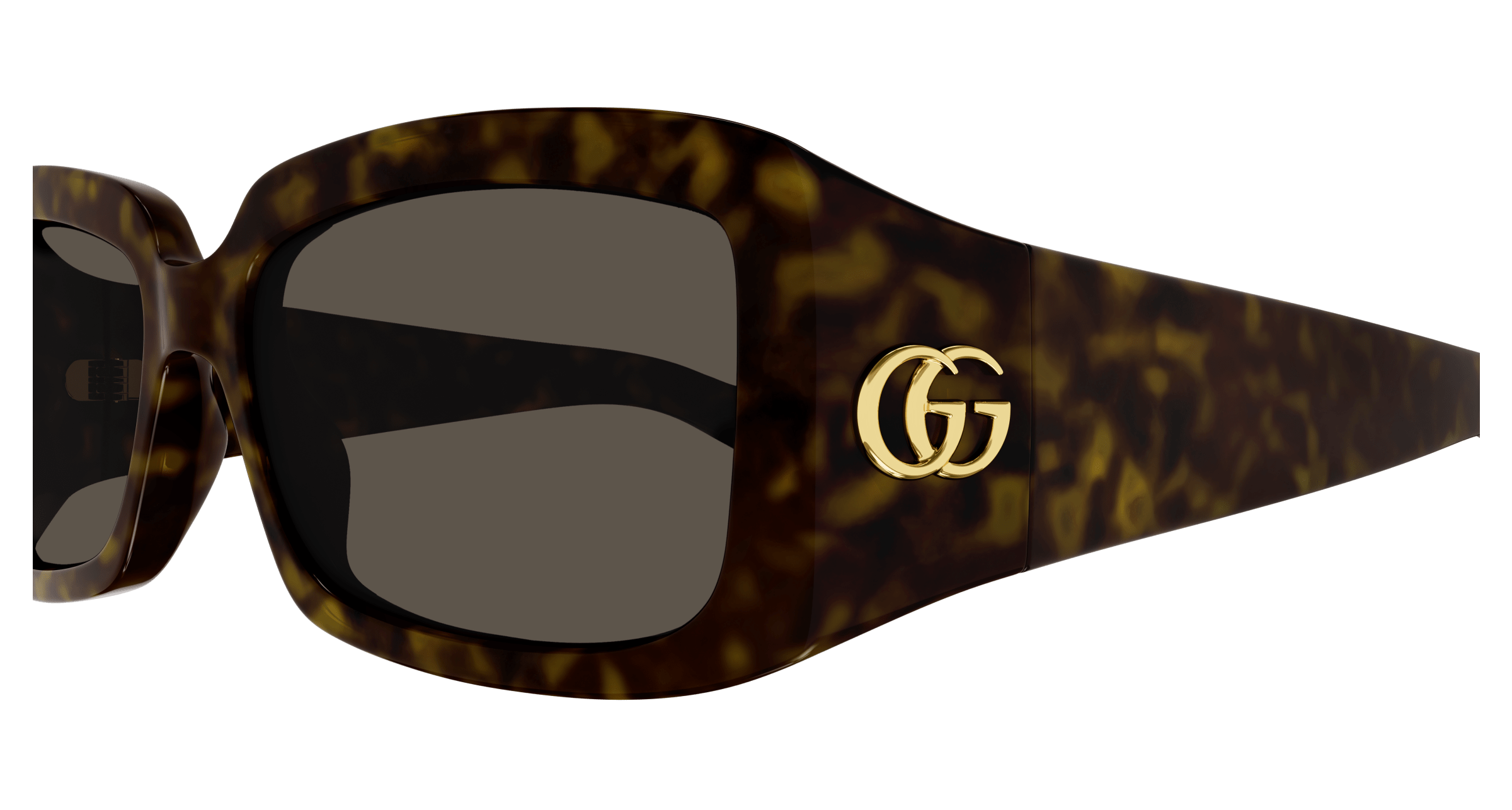 Havana Sunglasses Gucci 889652437811