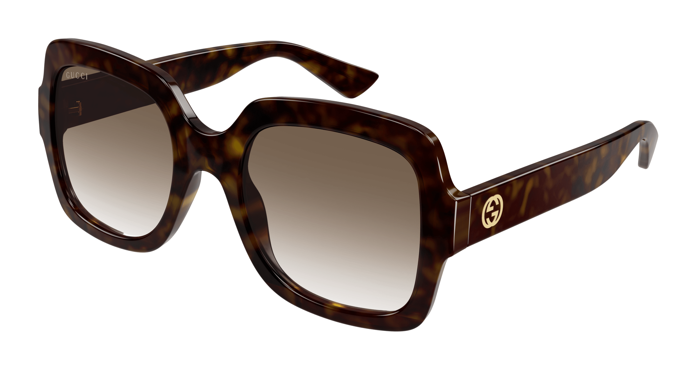 Havana Sunglasses Gucci 889652413075