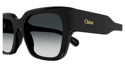 Chloe CH0190S Sunglasses 889652450179