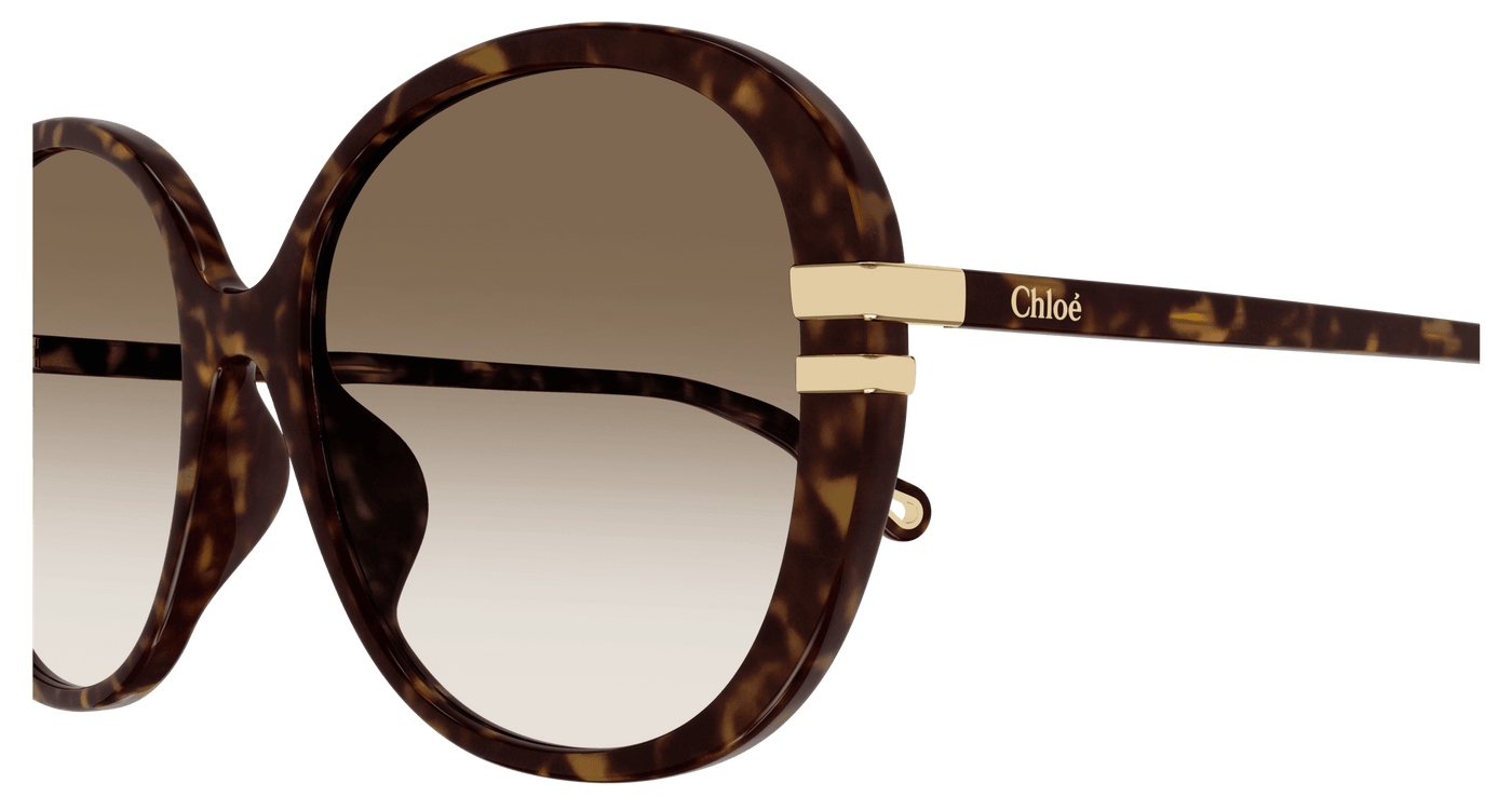 Chloe CH0207SK Sunglasses 889652451961