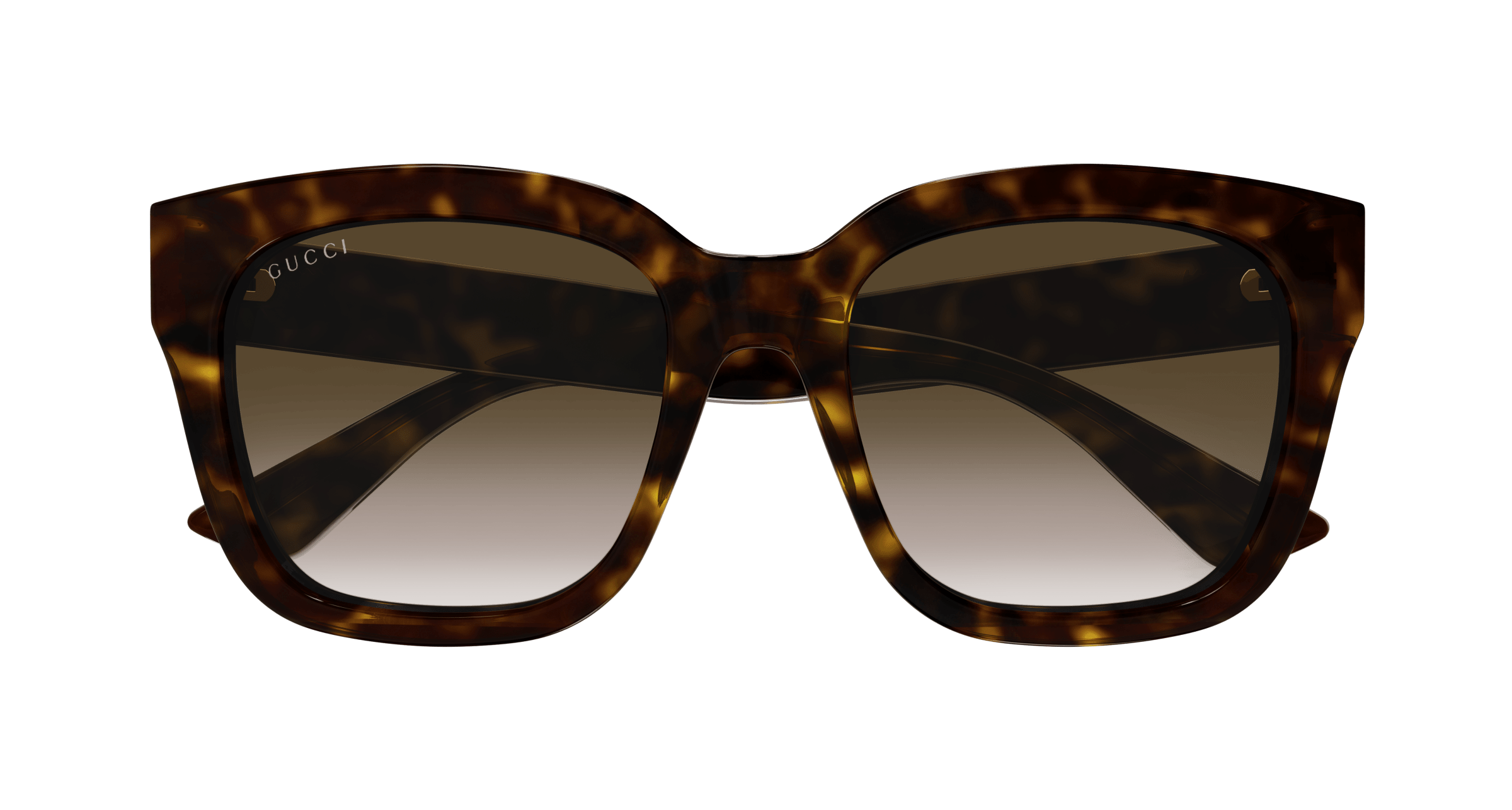 Havana Sunglasses Gucci 889652412900