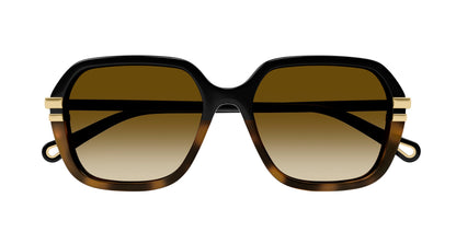 Chloe CH0204S Sunglasses 889652451930