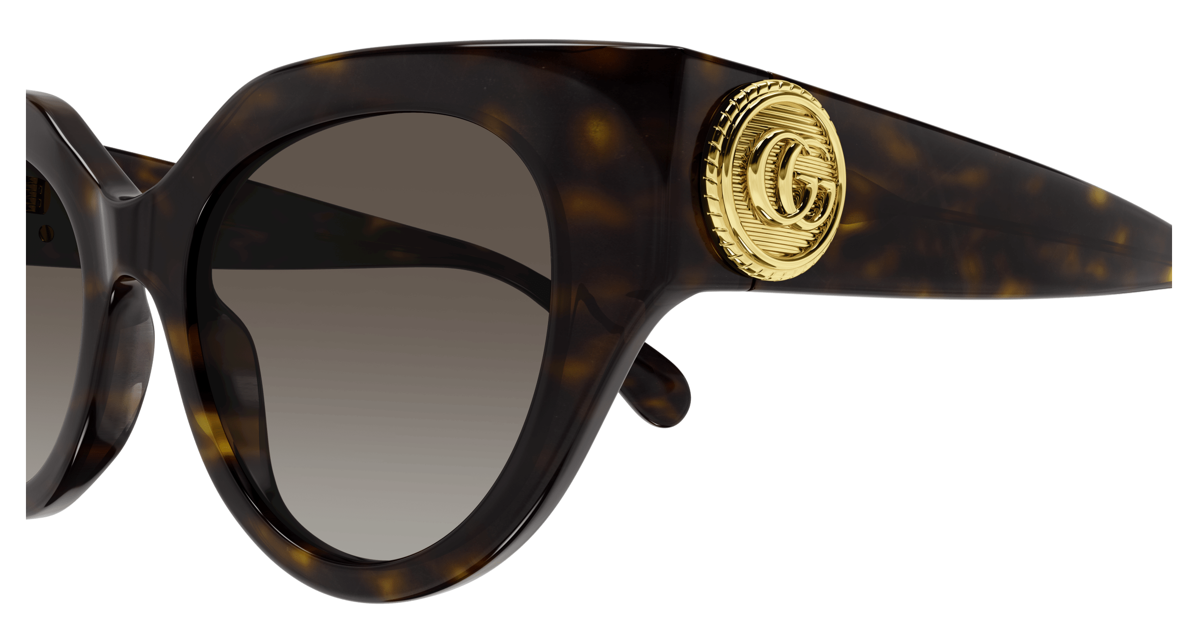 Havana Sunglasses Gucci 889652437903