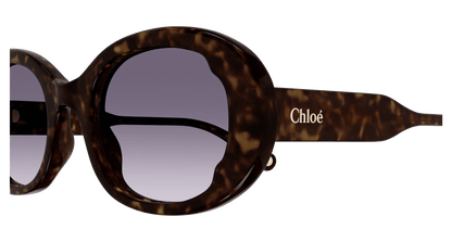 Chloe CH0197SA Sunglasses 889652452562