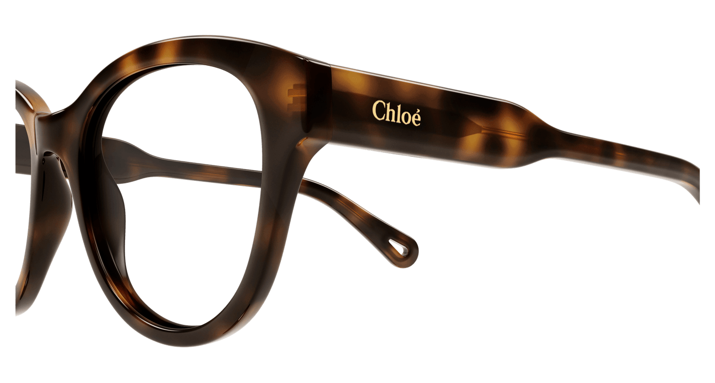 Chloe CH0163O Eyeglasses 889652423104