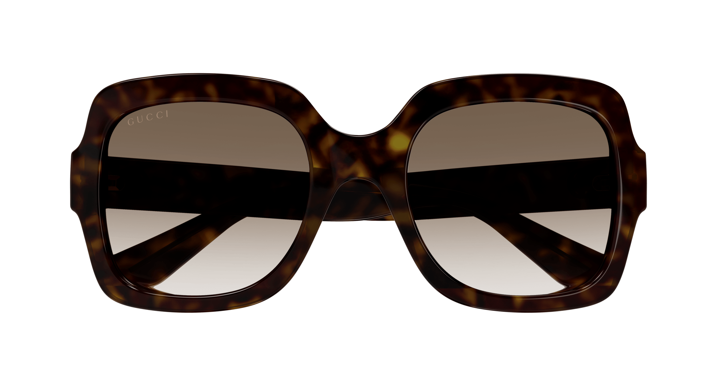 Havana Sunglasses Gucci 889652413075