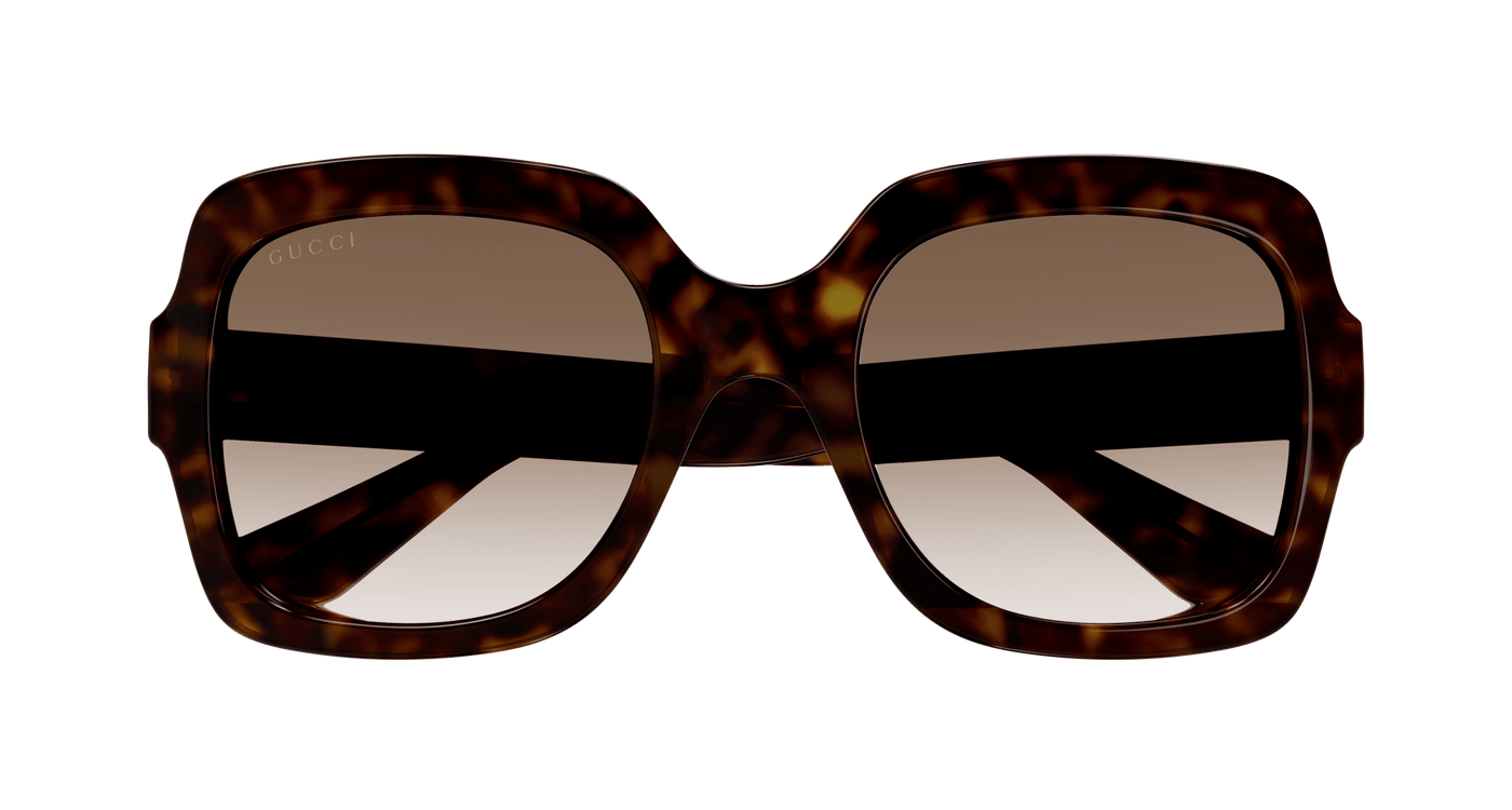 Havana Sunglasses Gucci 889652413075