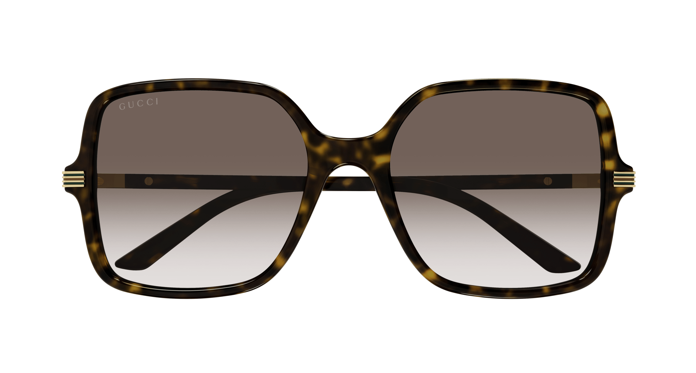 Havana Sunglasses Gucci 889652438993