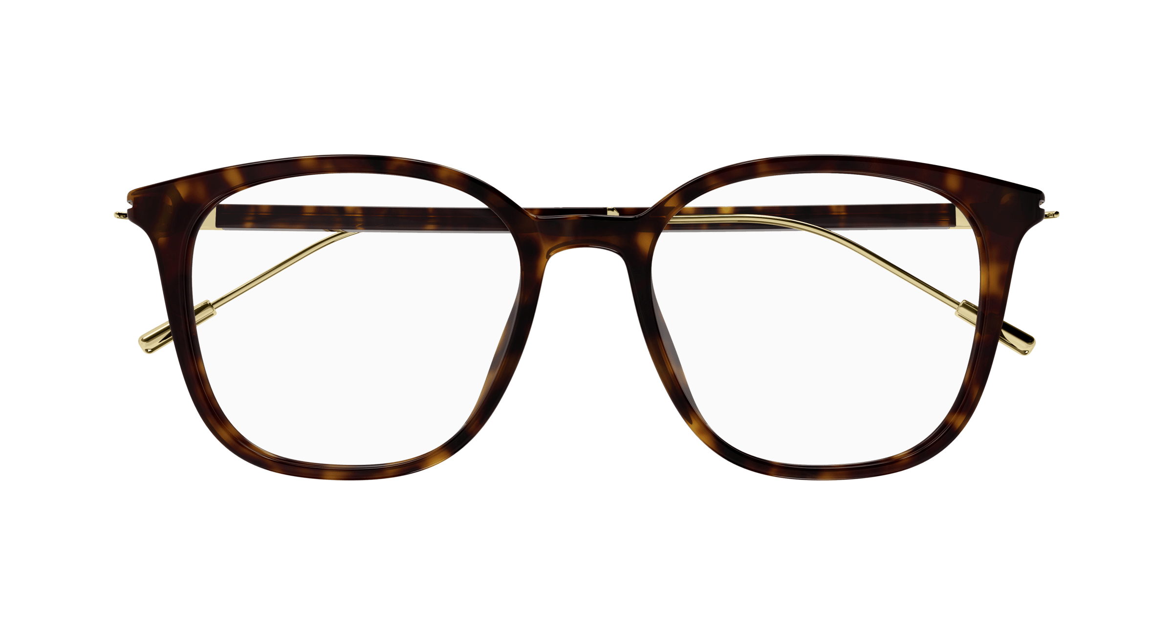 Havana Eyeglasses Gucci 889652415772