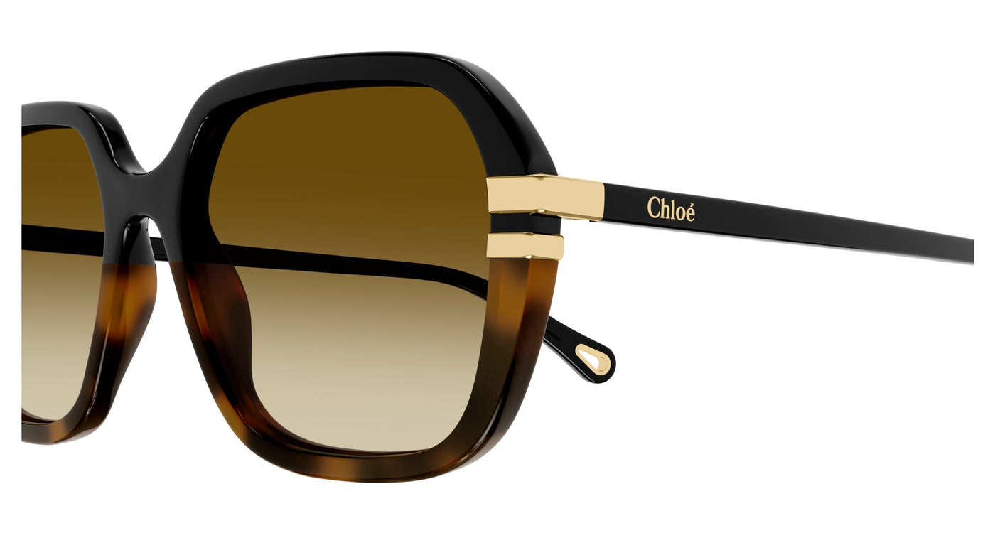 Chloe CH0204S Sunglasses 889652451930