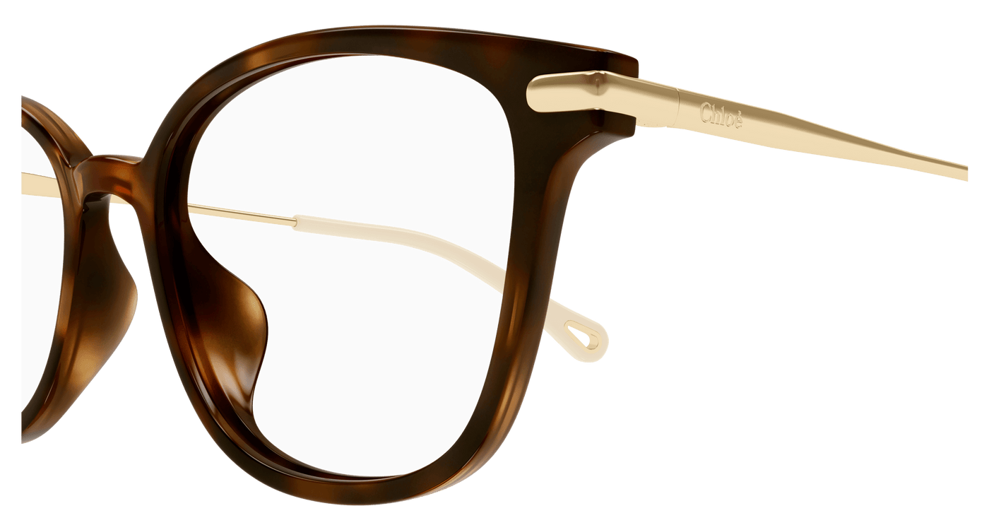 Chloe CH0219OA Eyeglasses 889652451015