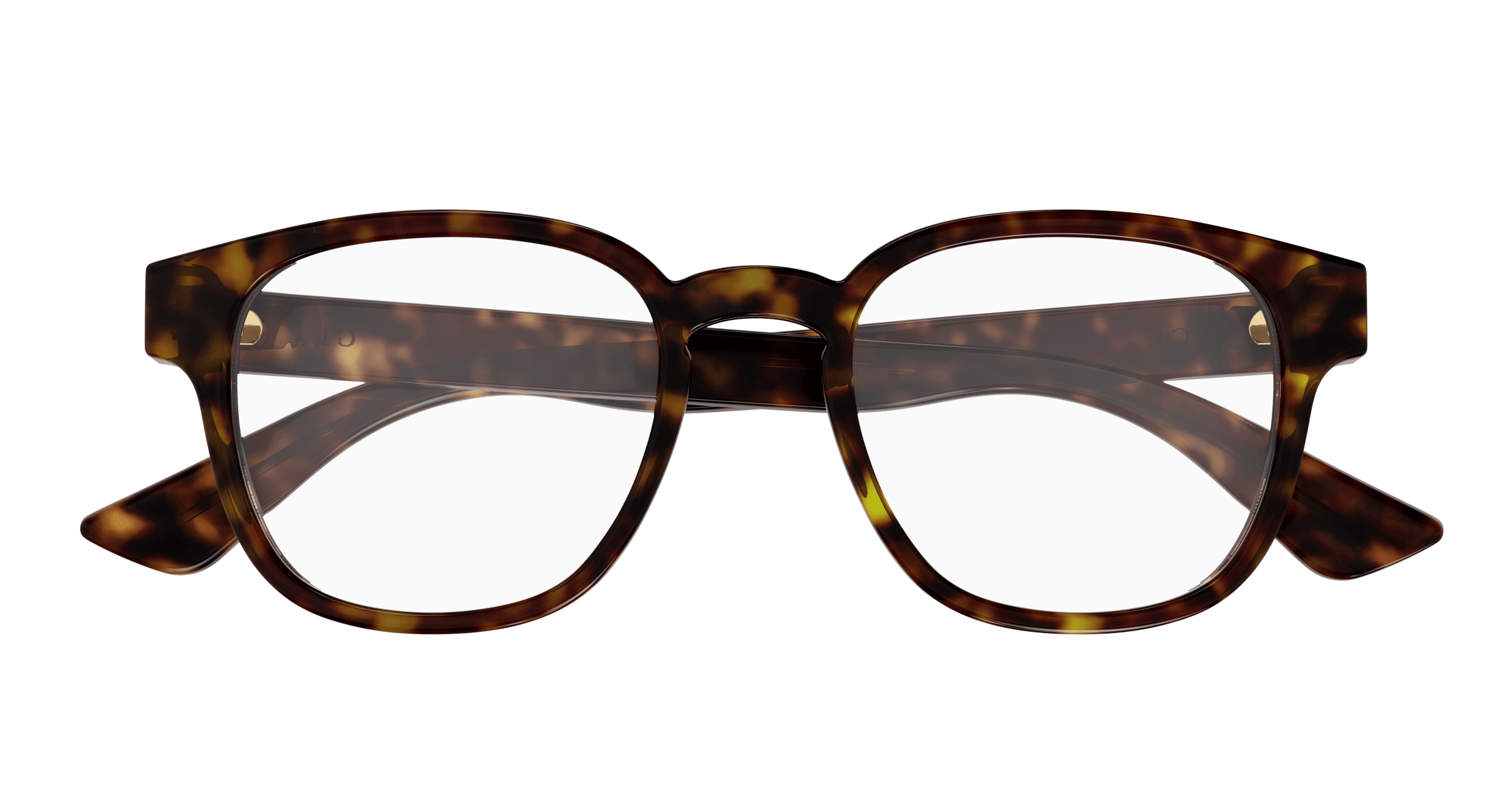 Havana Eyeglasses Gucci 889652413174