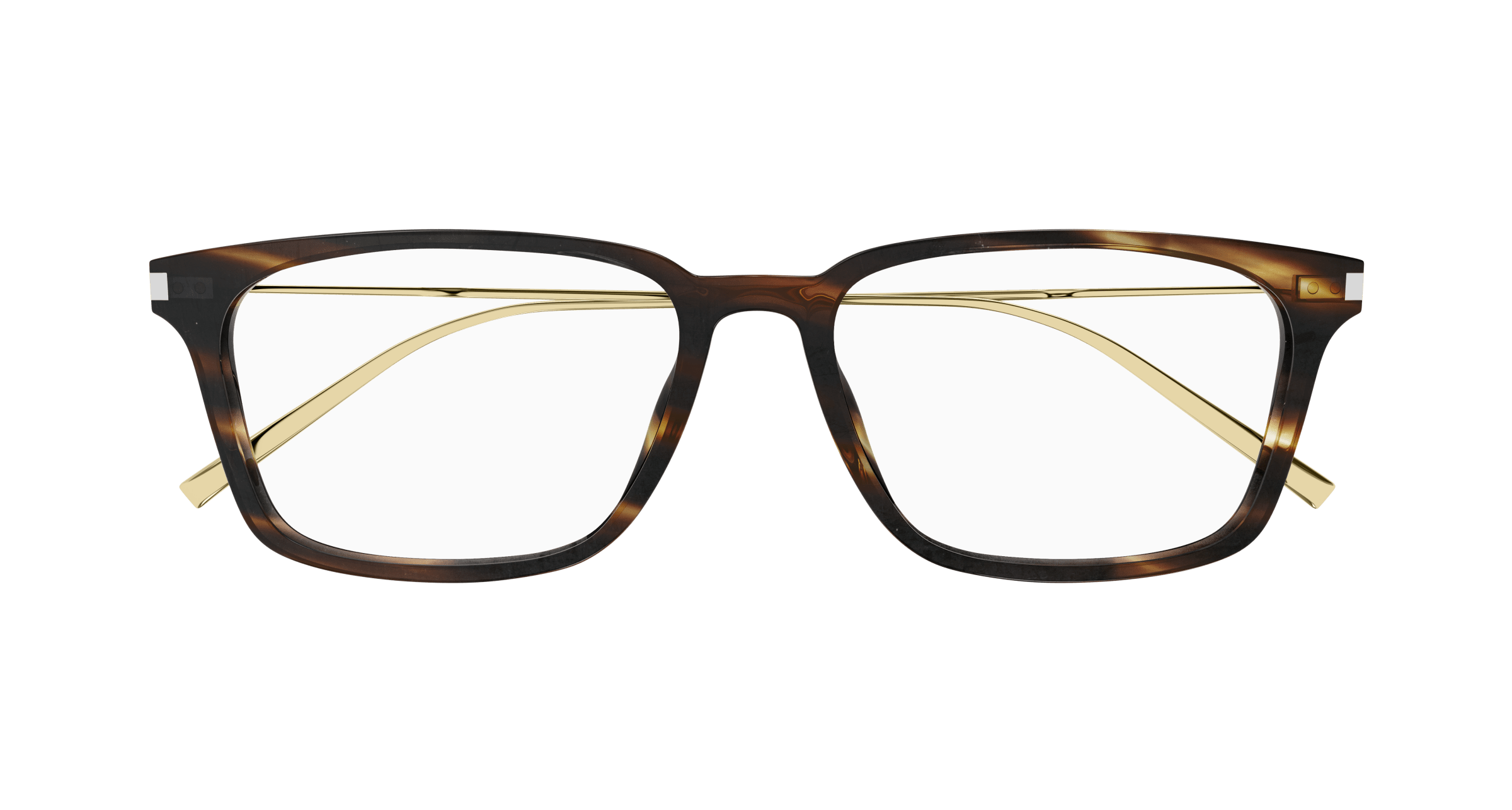 Havana Eyeglasses Saint Laurent 889652445991