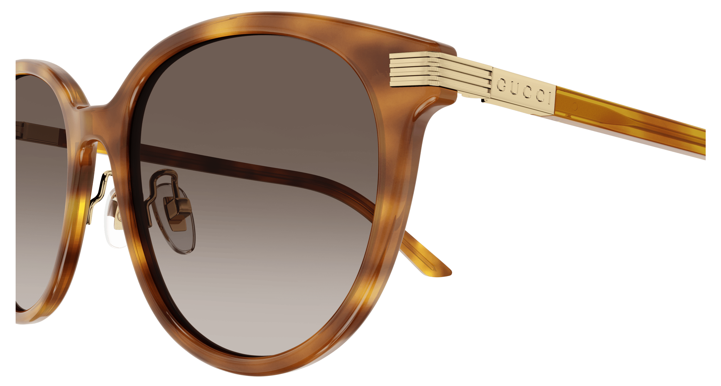 Havana Sunglasses Gucci 889652440996